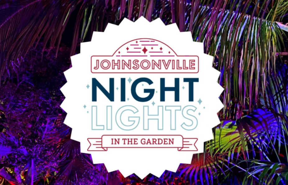 Naples Botanical Jacksonville Lights
