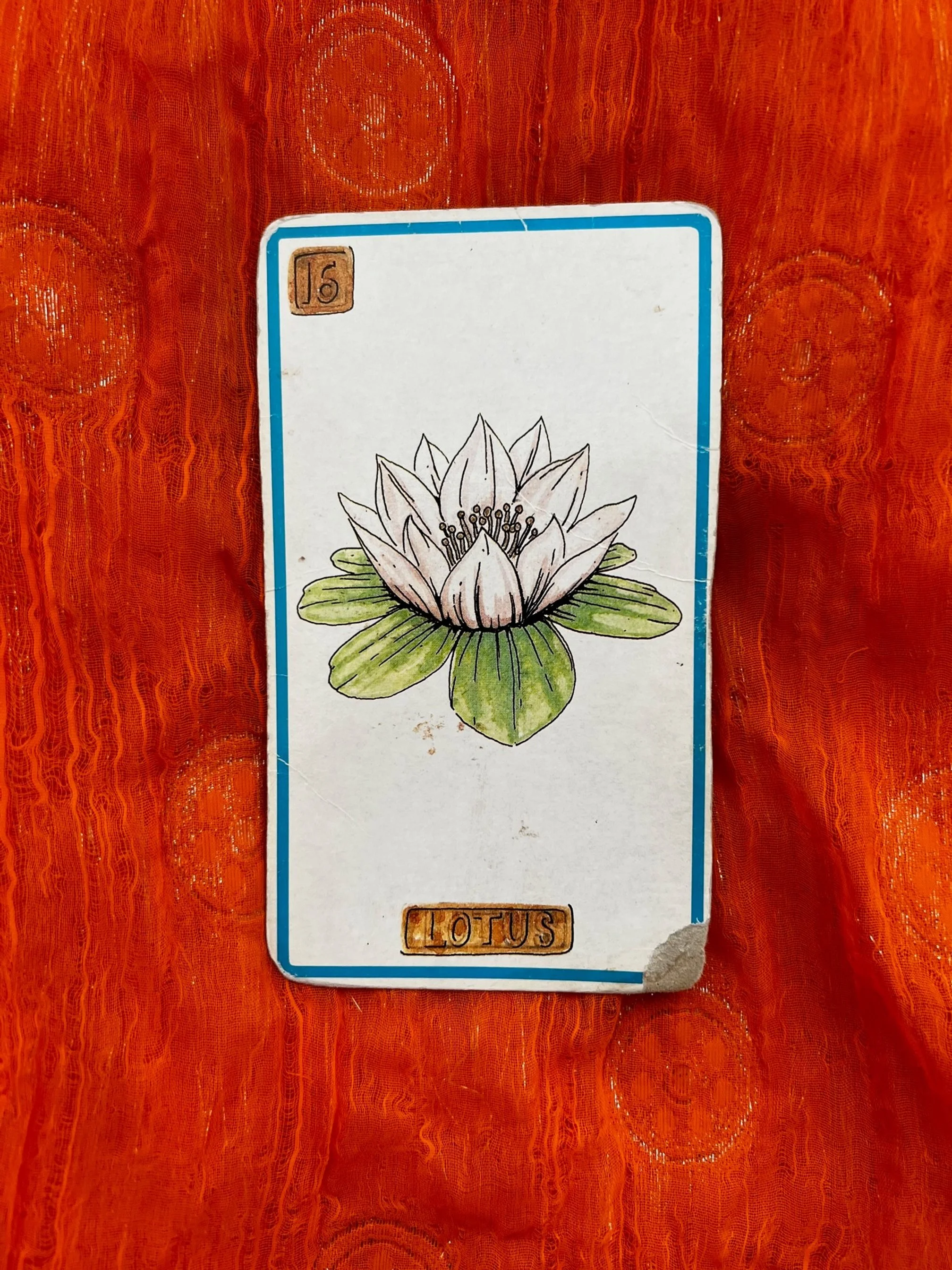 A tarot card featuring an illustration of a lotus flower with green leaves beneath it, labeled "Lotus" at the bottom, and a small number 15 in the top left corner, placed on an orange textured fabric.