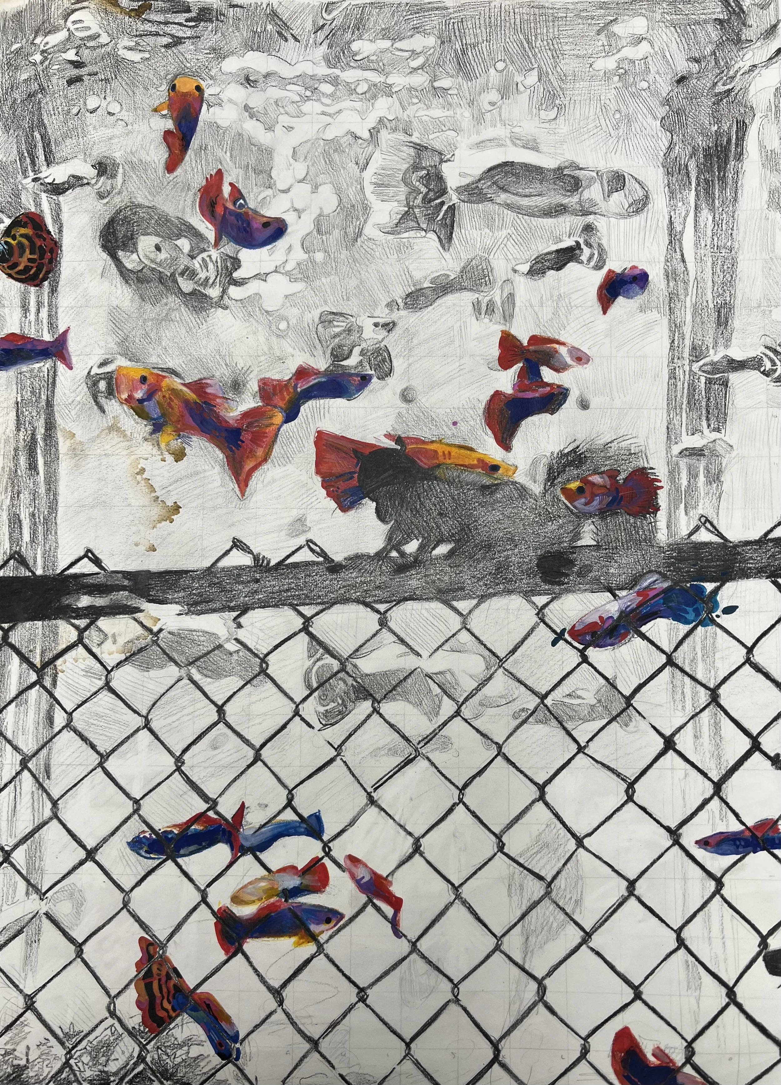 Squirrelfish (pencil grid + marker).jpeg