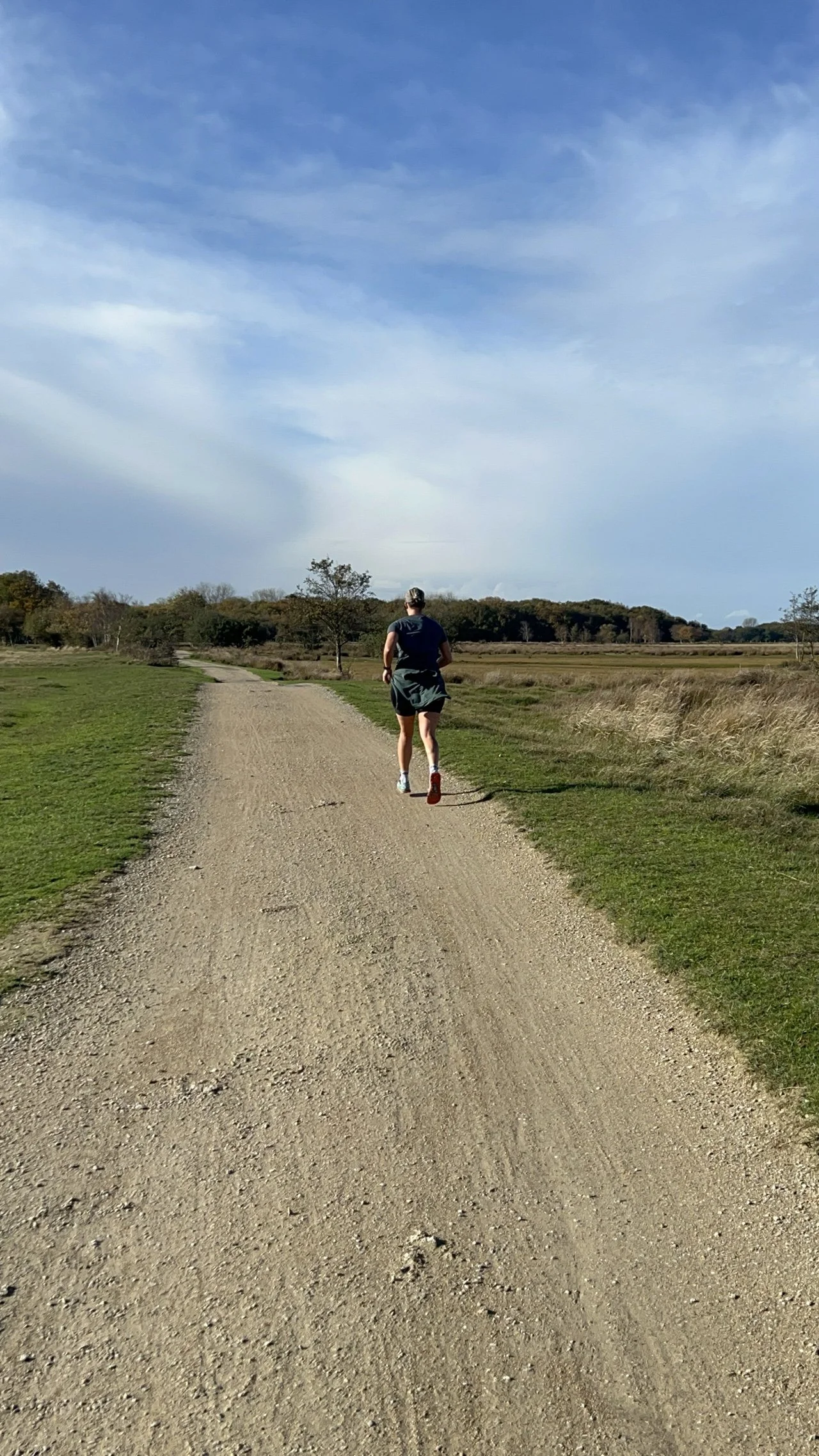 Een persoon loopt of joggt op een bosweg in een open landschap met enkele bomen en een blauw wolkenhemel.