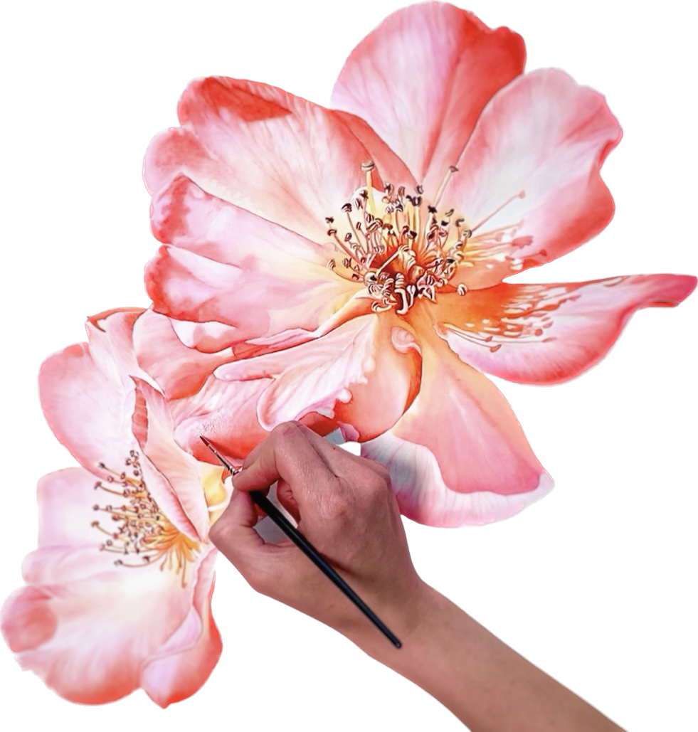 3B75F9F5-D894-4FB8-91E9-6B2CC86A239F.png