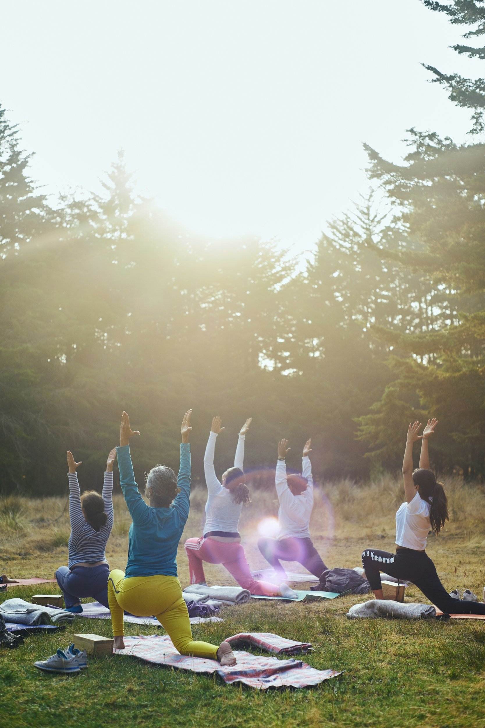 People practicing yoga outside near a forest
