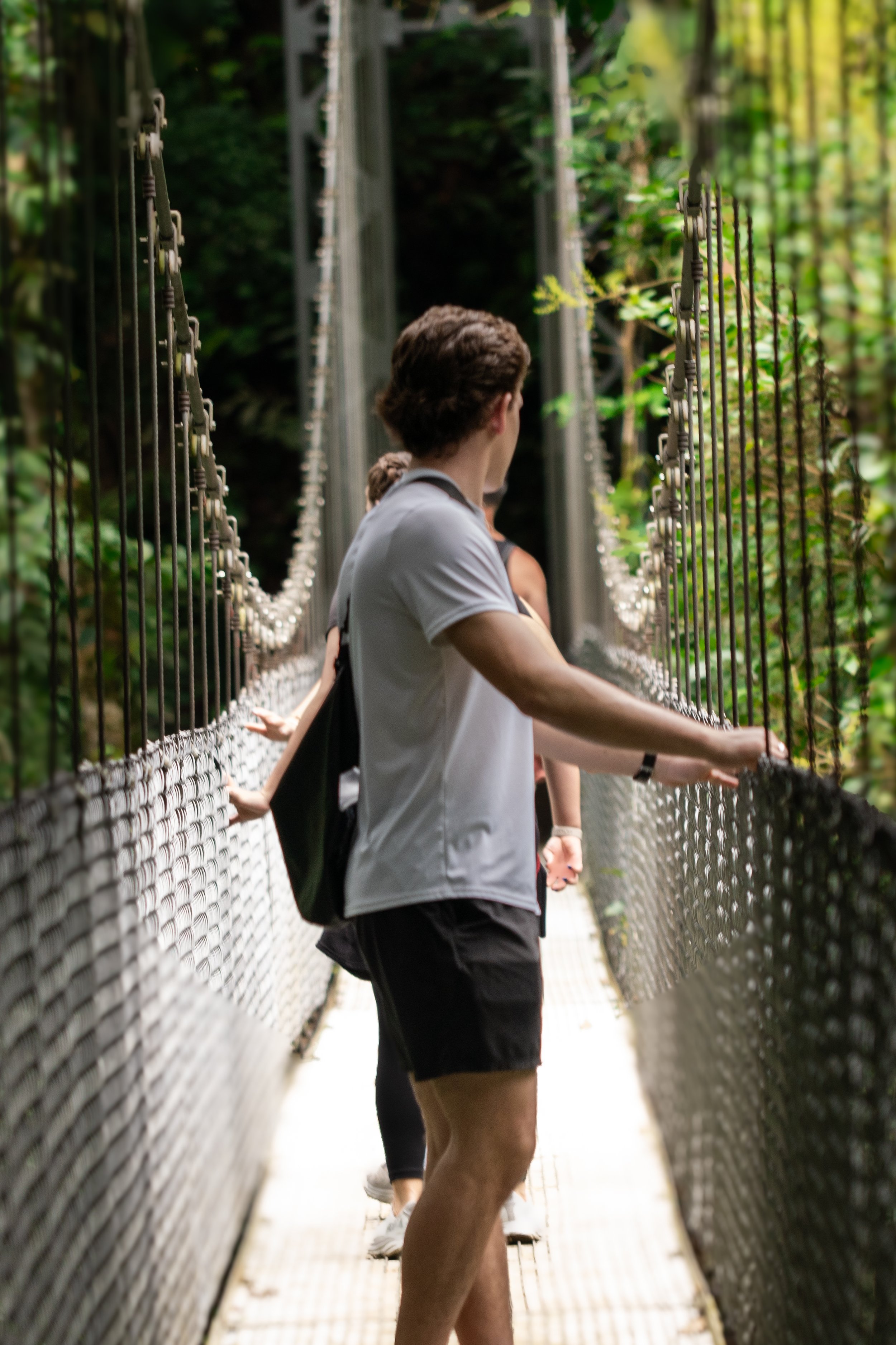 People walking on a suspension bridge in a forested area.