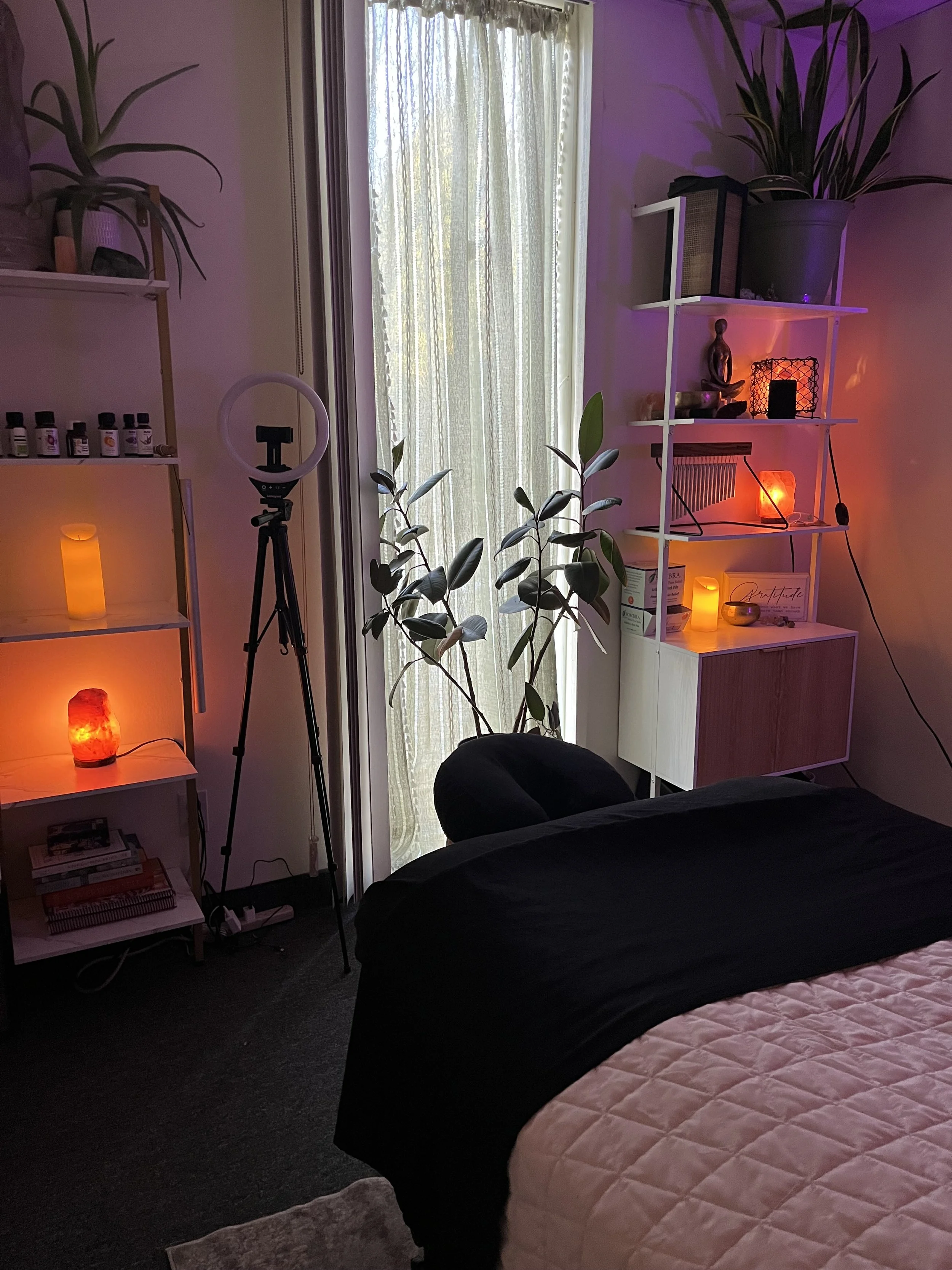 A bedroom with a bed covered in black and light pink quilted bedding, a white shelf with decorations and a salt lamp, a potted plant, a ring light on a tripod, a window with sheer curtains, and soft ambient lighting in purple and orange.