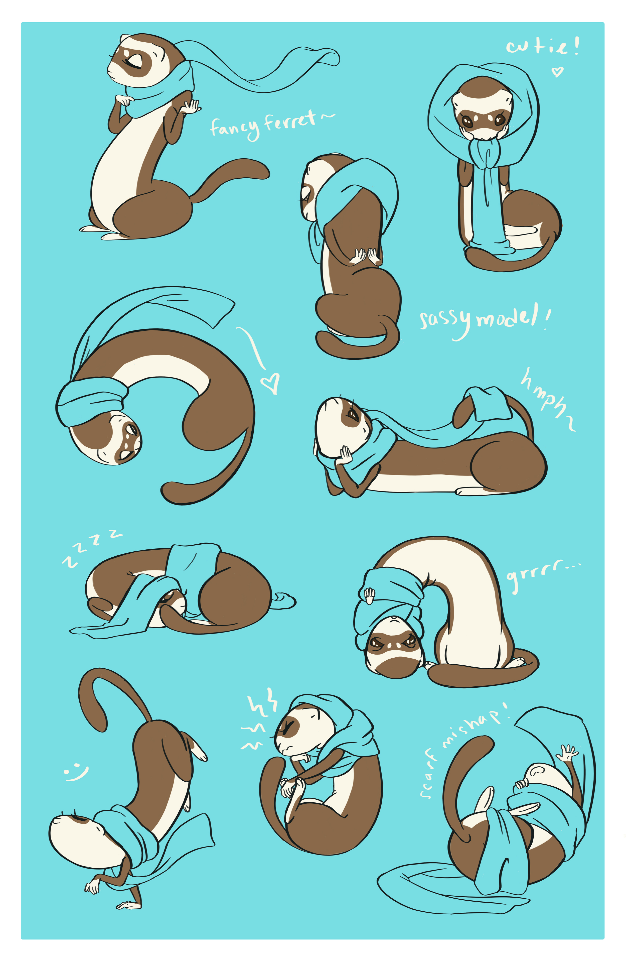fancy_ferret_final.jpg