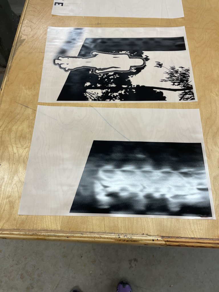 FF000E44-7FAA-4B20-A5F8-0F2B0CFC58B0_1_105_c.jpeg
