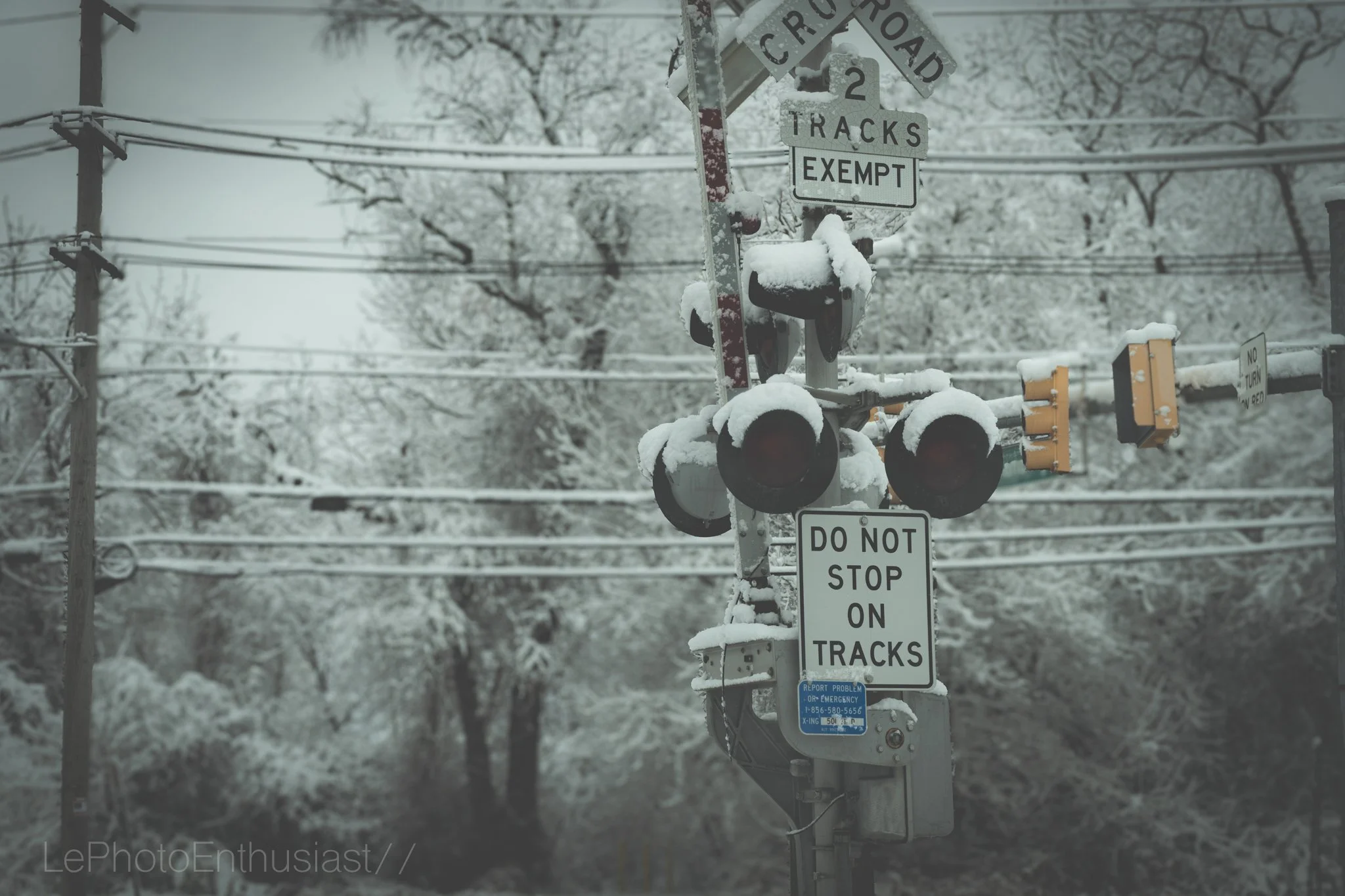A snow-covered railroad crossing signal with multiple lights and a barrier arm, surrounded by snow-covered trees and utility poles, with various warning signs including "DO NOT STOP ON TRACKS" and "CROSSROAD 2 TRACKS EXEMPT."