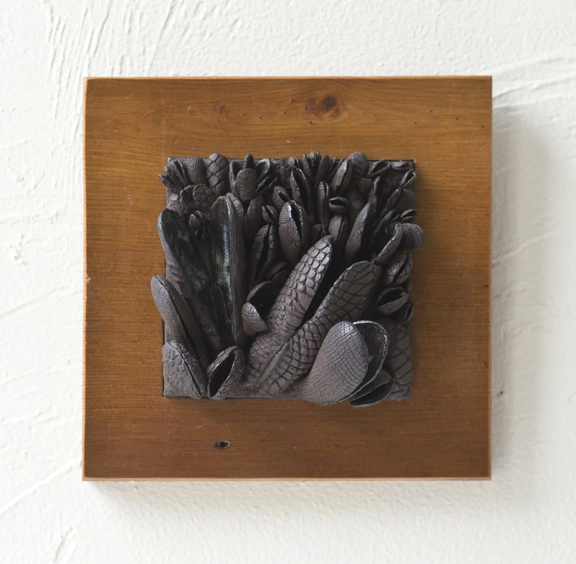 shellscape4 copy.jpg