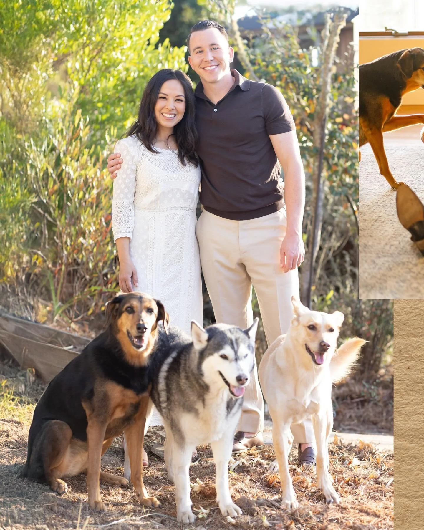 Home is wherever your pack is 🐾🐾🐾

#dogs #dogphotography #petphotography #bayareaphotographer #sanfranciscophotographer #familyphotos #familyphotography #familyphotographer #dogphotographer #pets #family #familyportraits