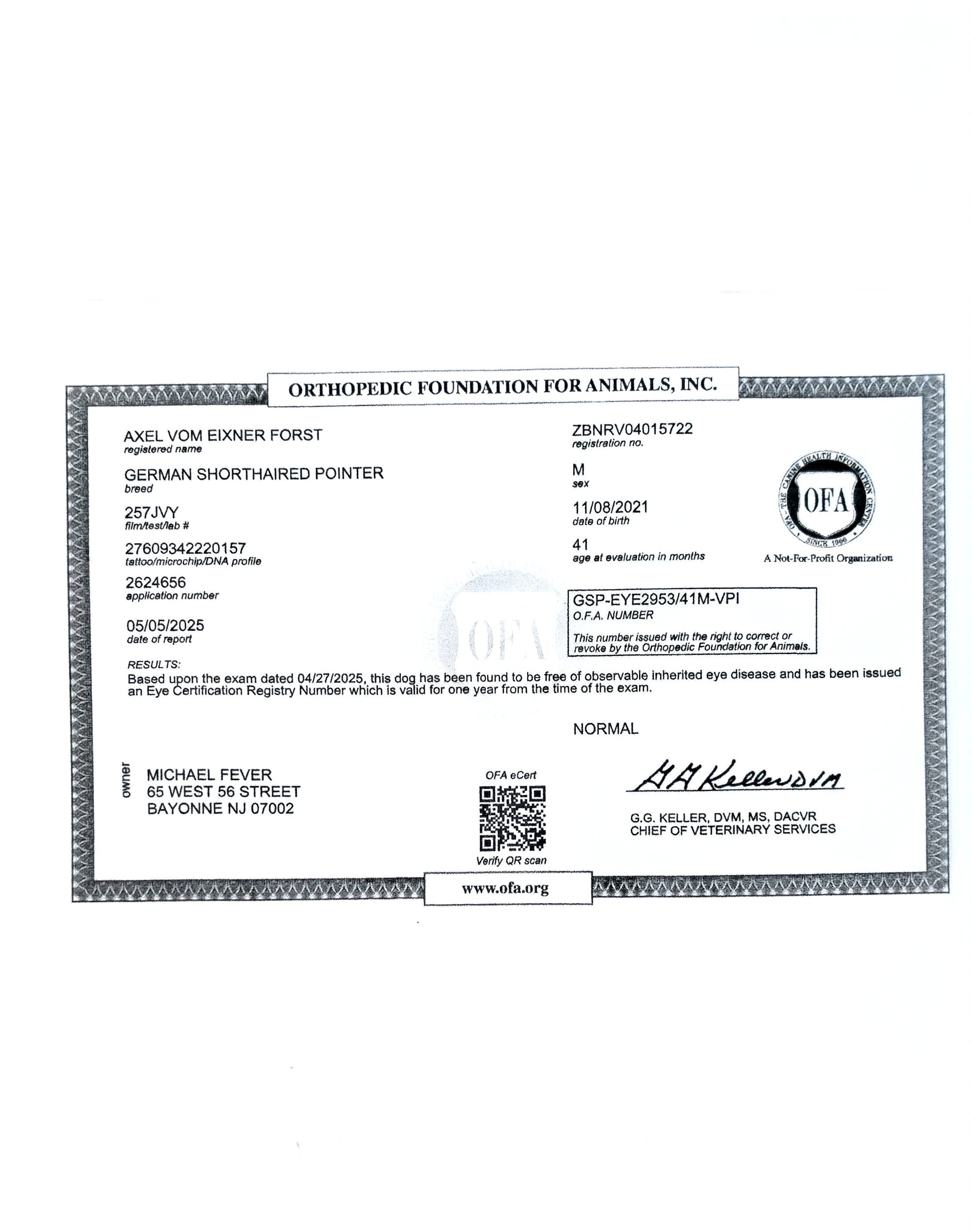 Dog's orthotic certification from Orthopedic Foundation for Animals (OFA) showing the dog's details, breed, owner's information, and a result indicating the dog is free from observable inherited eye disease.