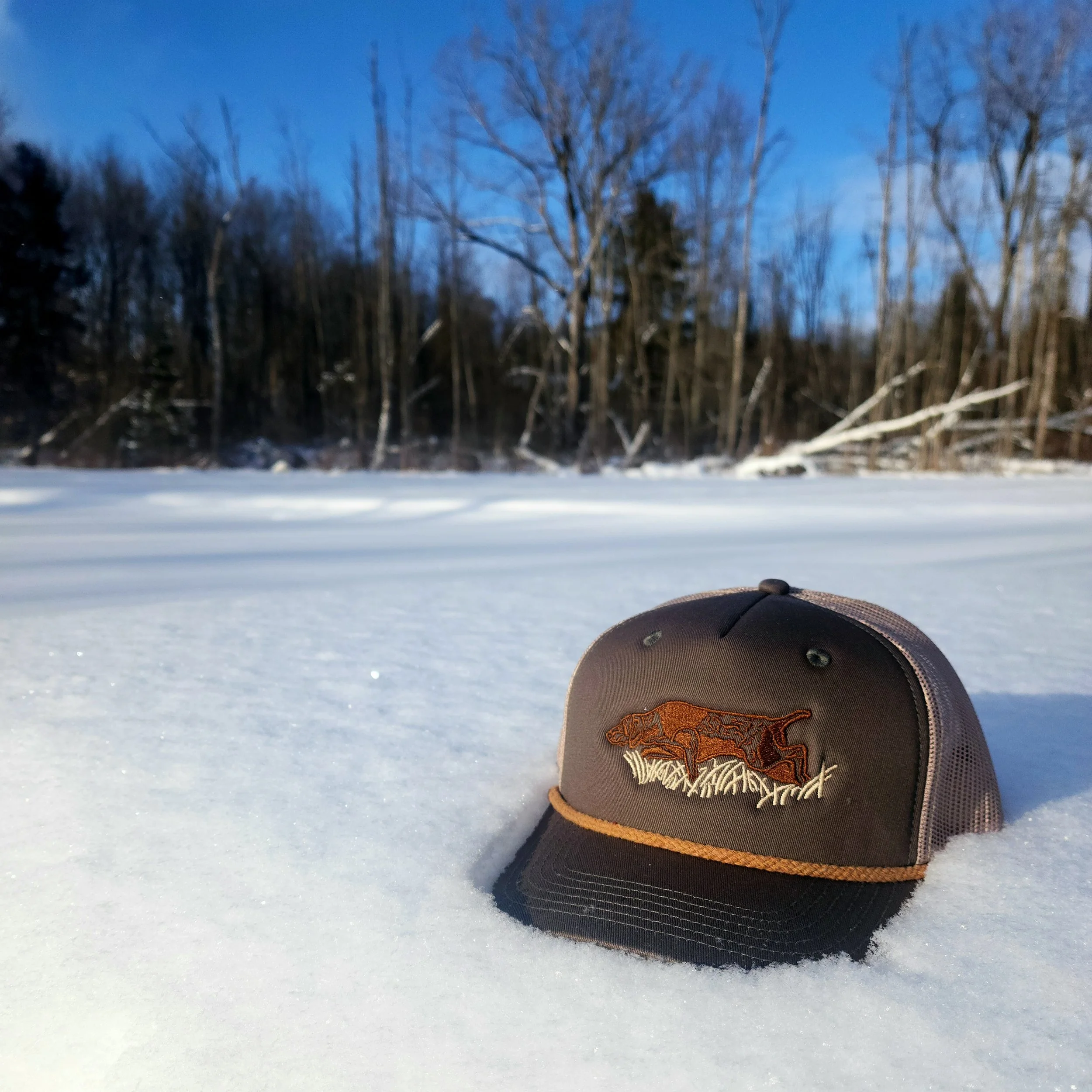 Ranchero Pointer Hat