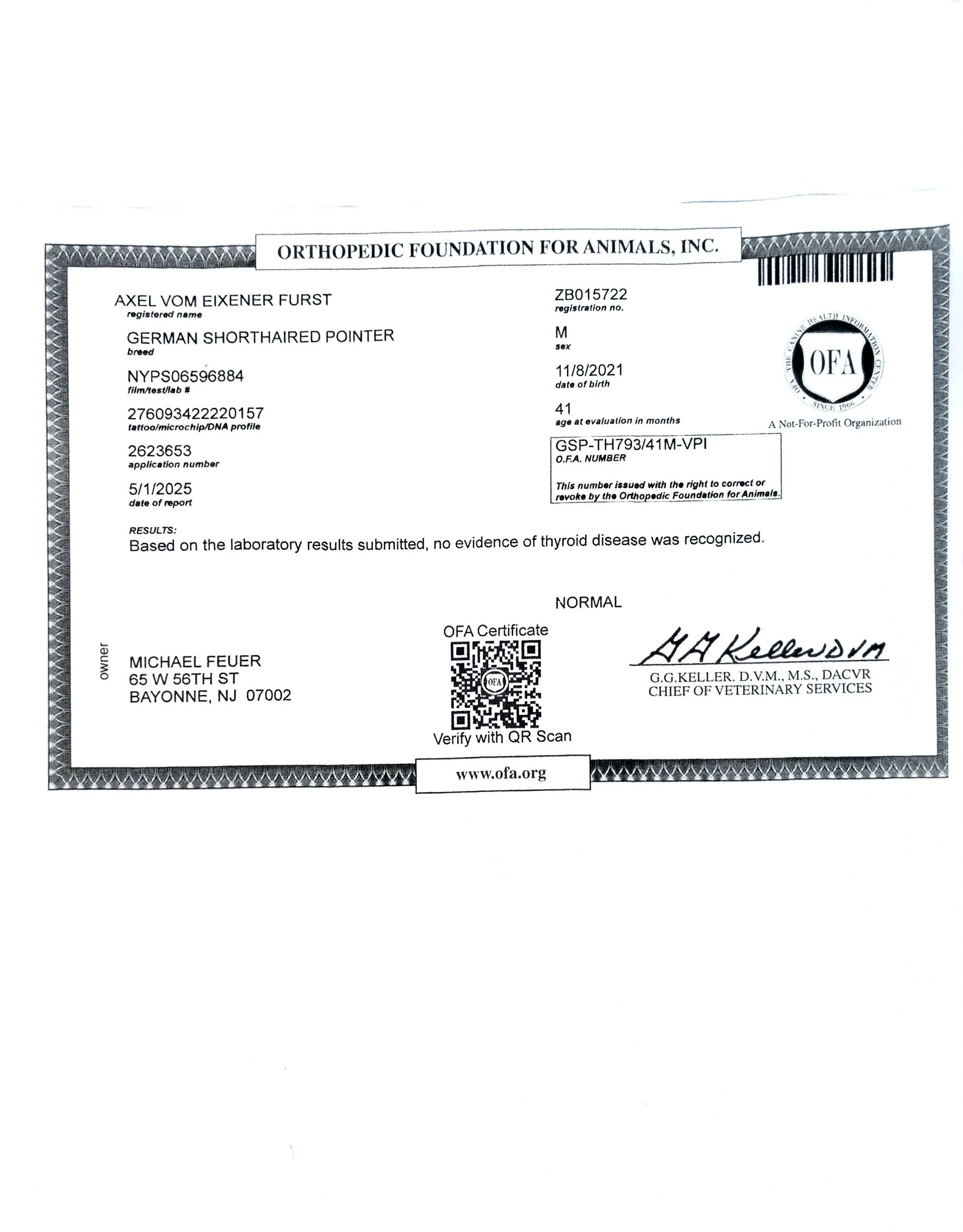 Veterinary certificate for a German shorthaired pointer dog, showing details like name, breed, date of birth, age, report date, and results of health tests, with signatures and a QR code.