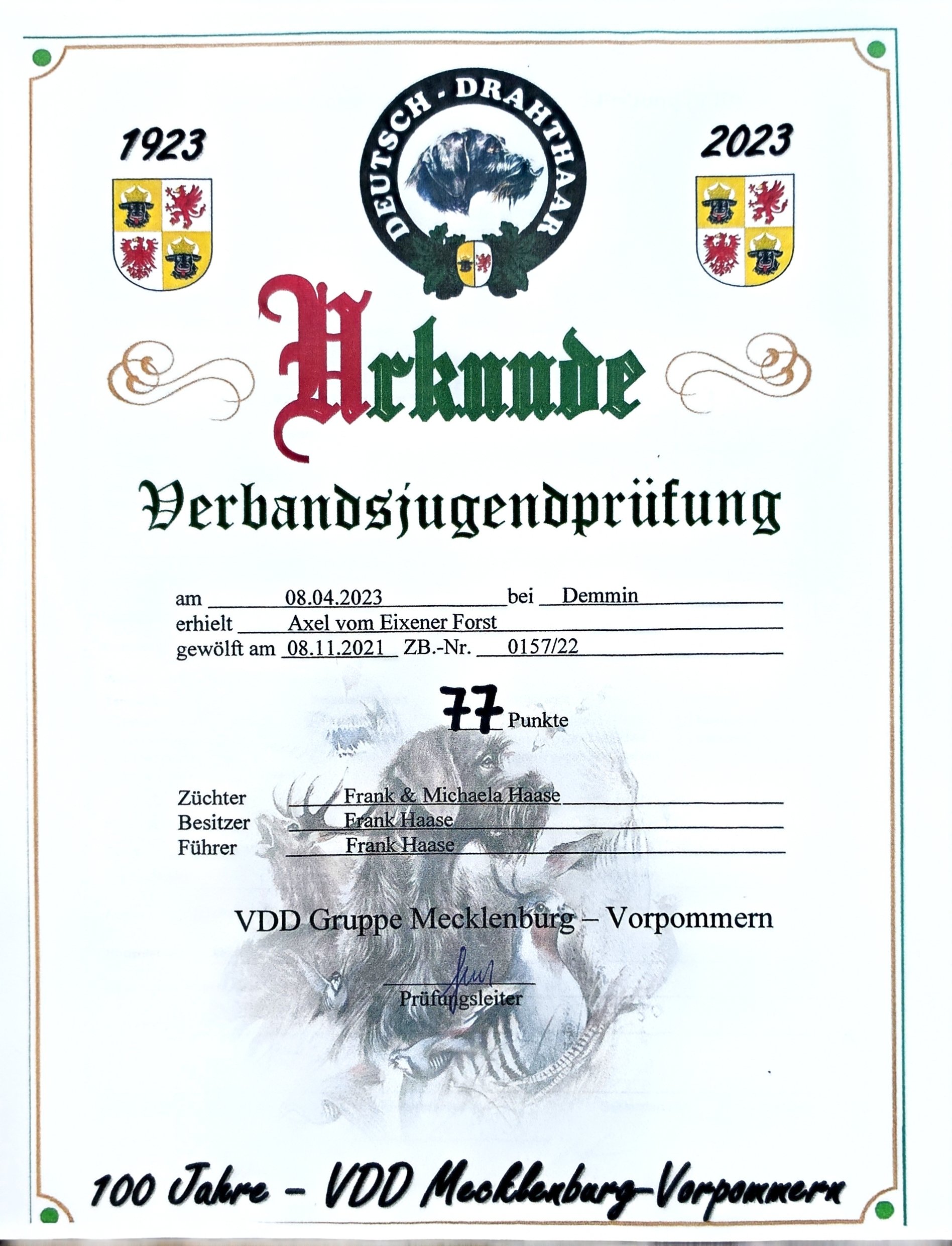 Certificate from the VDD Mecklenburg-Vorpommern dog club issued in 2023, commemorating 100 years since its founding in 1923. The certificate features a black and white logo with a dog's face and crests, a decorative border, and a lion illustration be