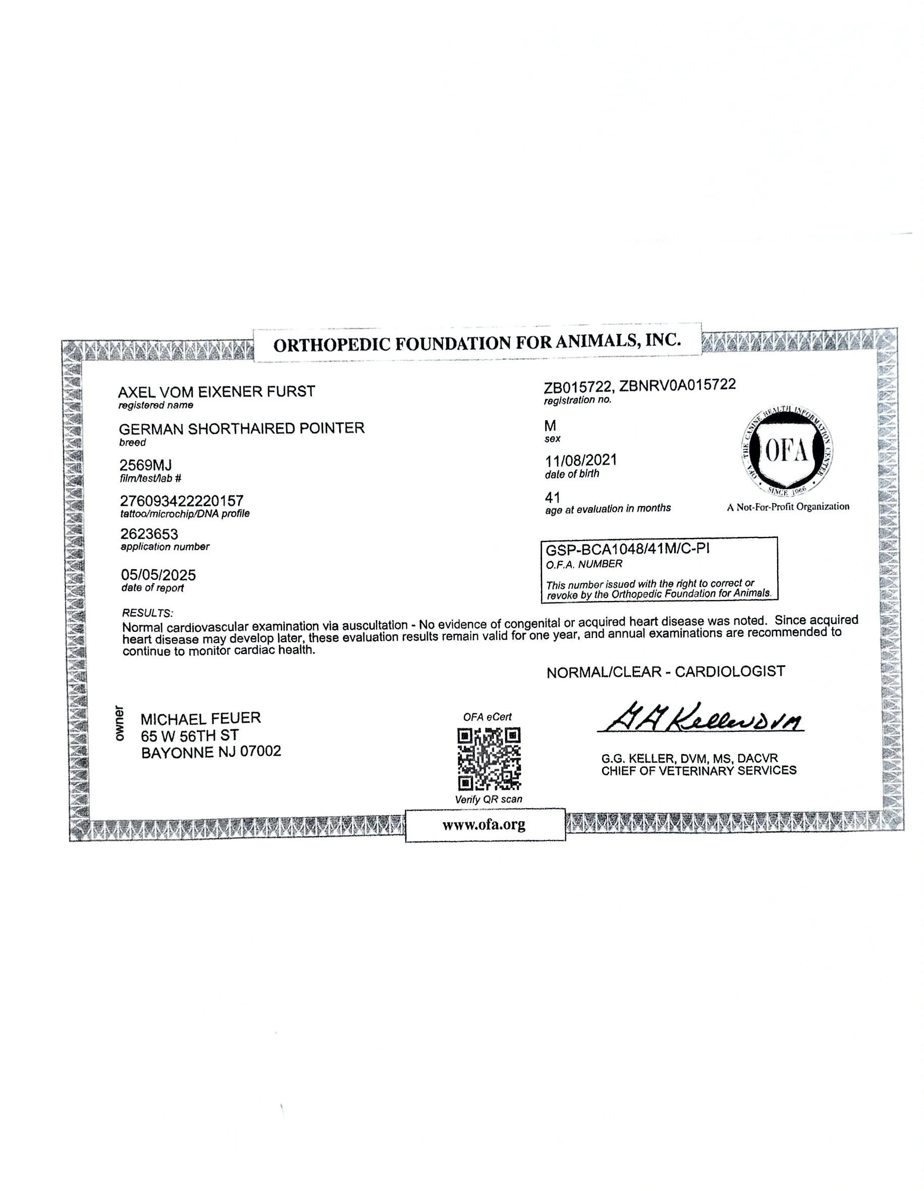 Veterinary certificate for a German Shorthaired Pointer dog named Axel Vom Eixener Furst, showing registration number, breed, sex, date of birth, age, owner information, and a QR code.