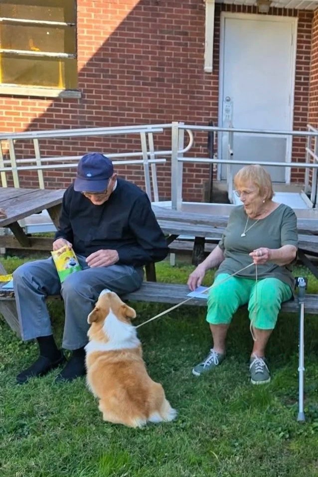 Pet Blessing