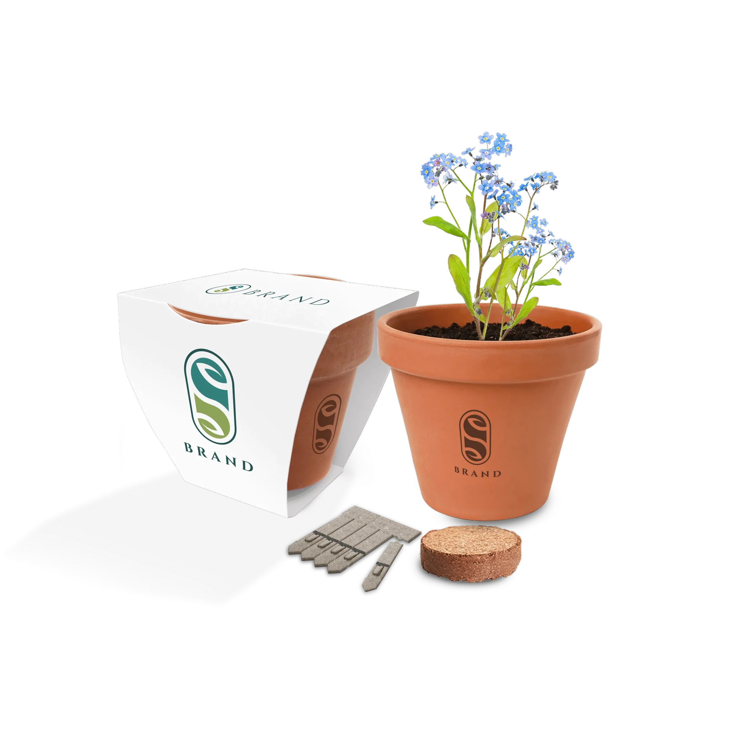 100 x Mini Clay Pot Seed Kit - Custom Engraved With Your Logo