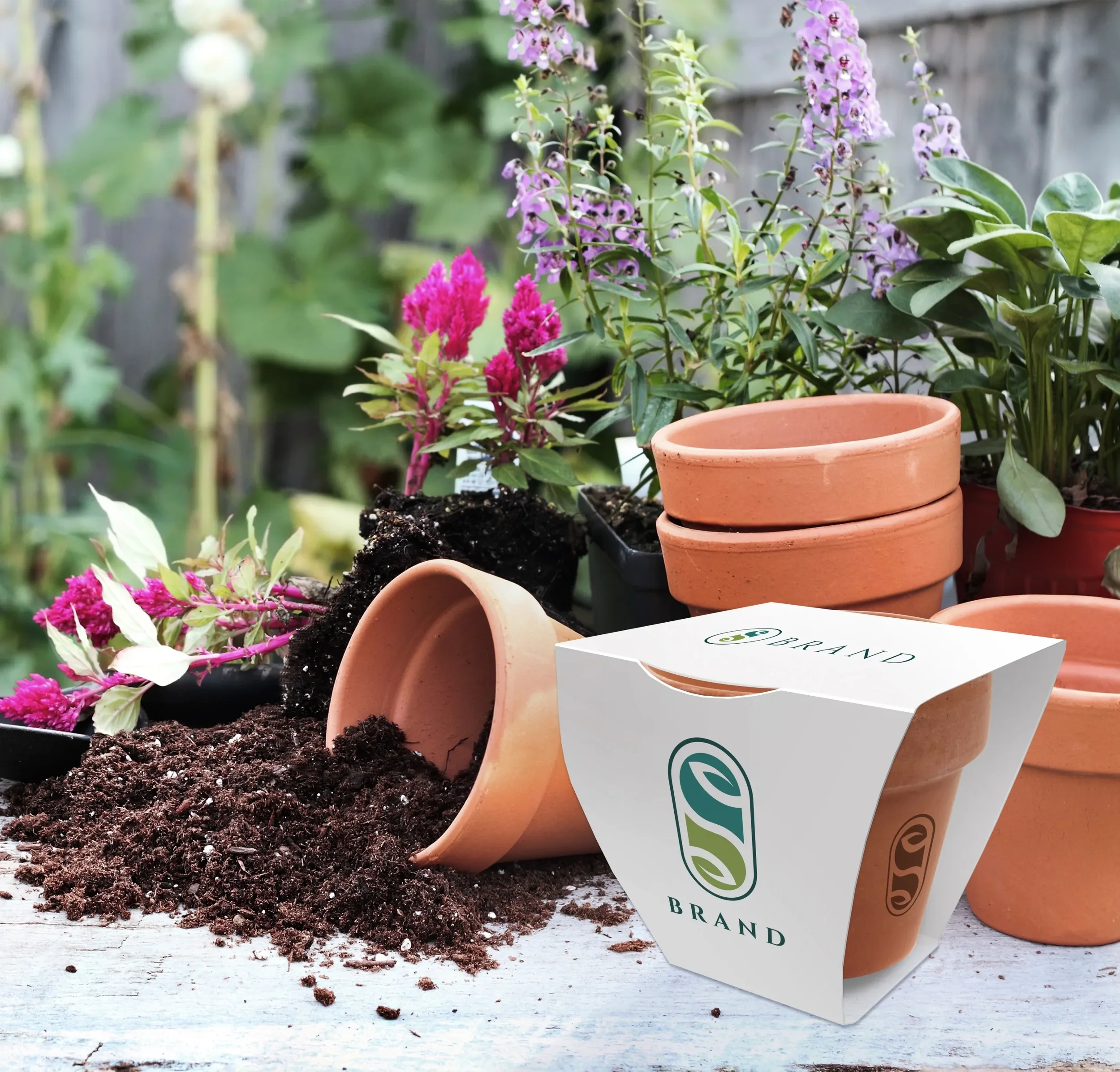branded-mini-clay-pot-gardens-uk.webp