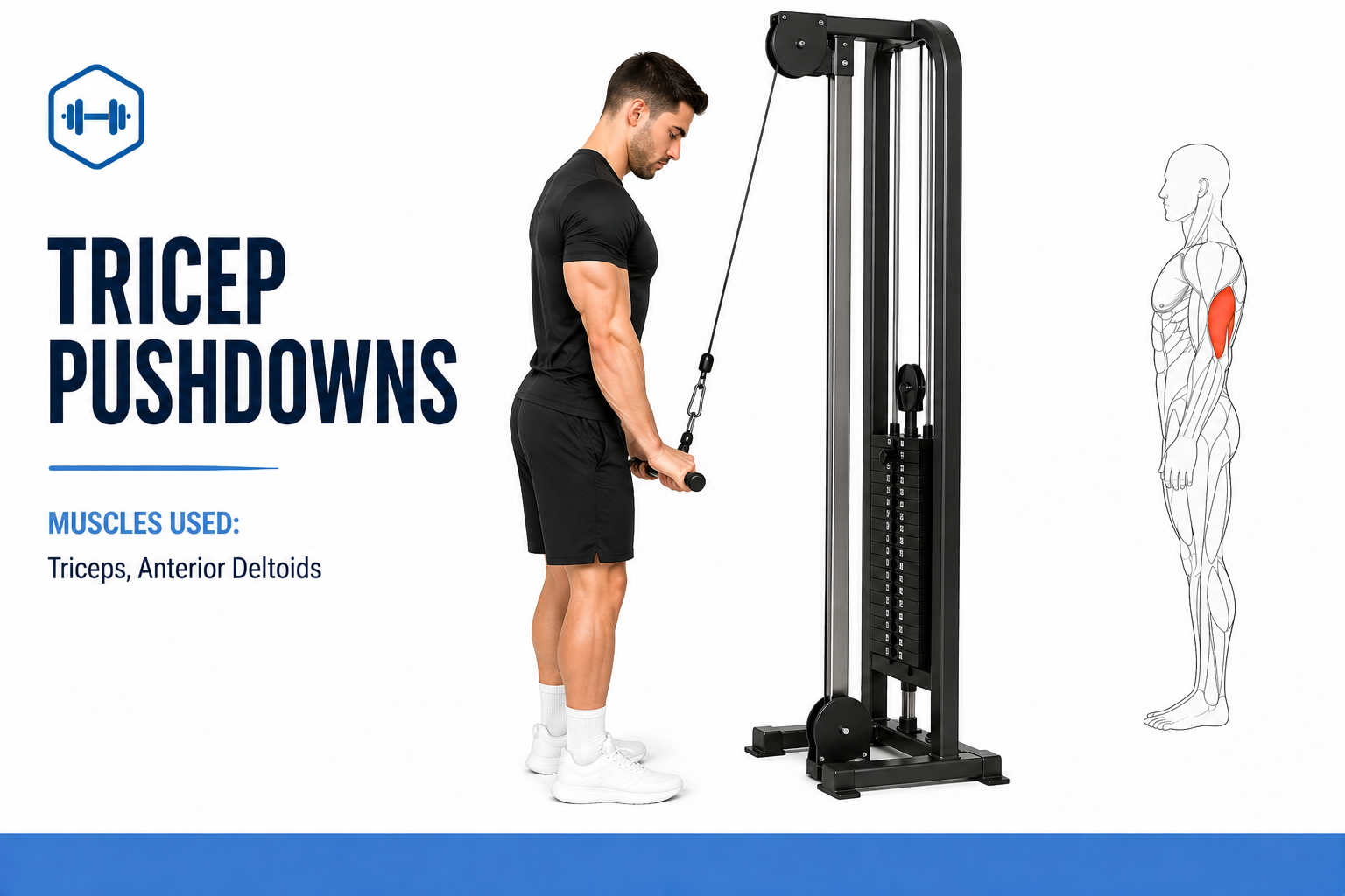 cable tricep pushdowns