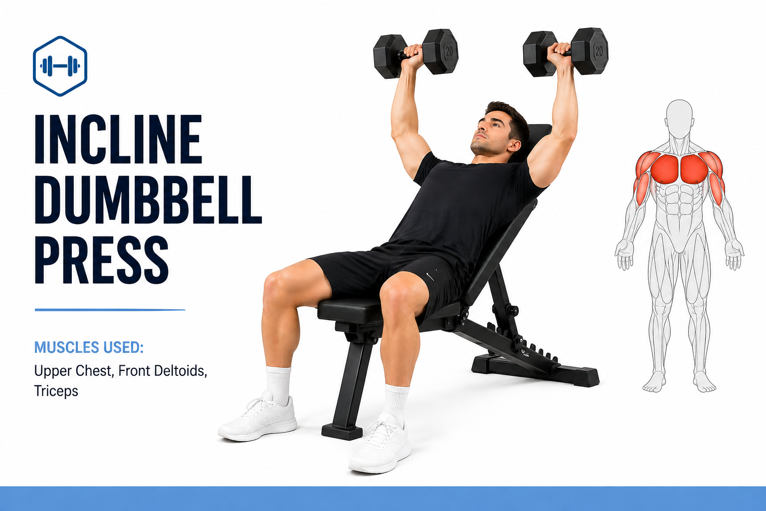 incline dumbbell bench press