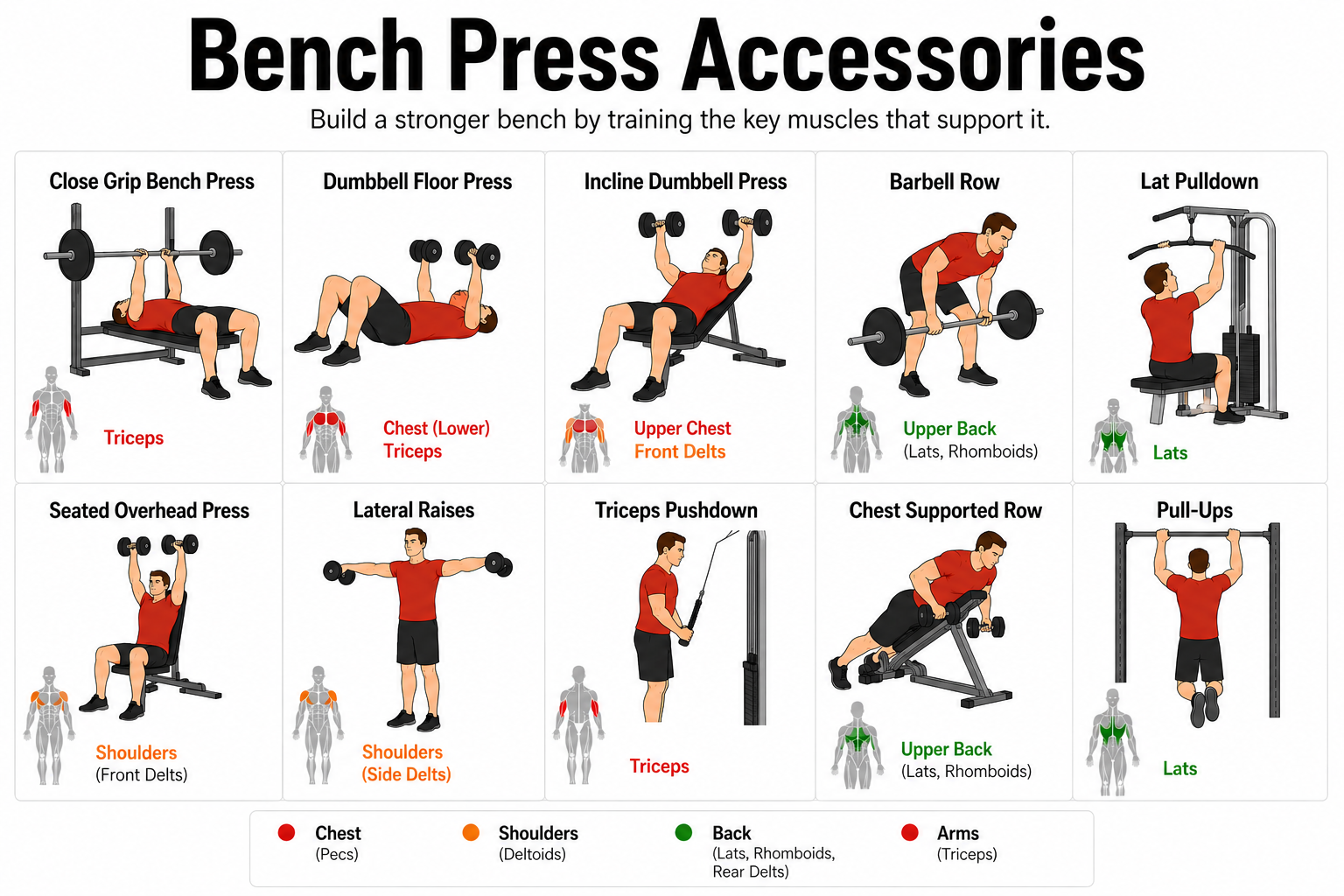 bench press accessory lifts