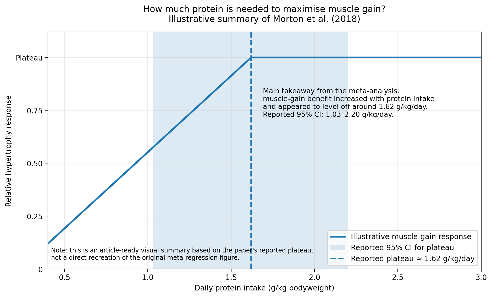 chart of effect of protein on hypertrophy