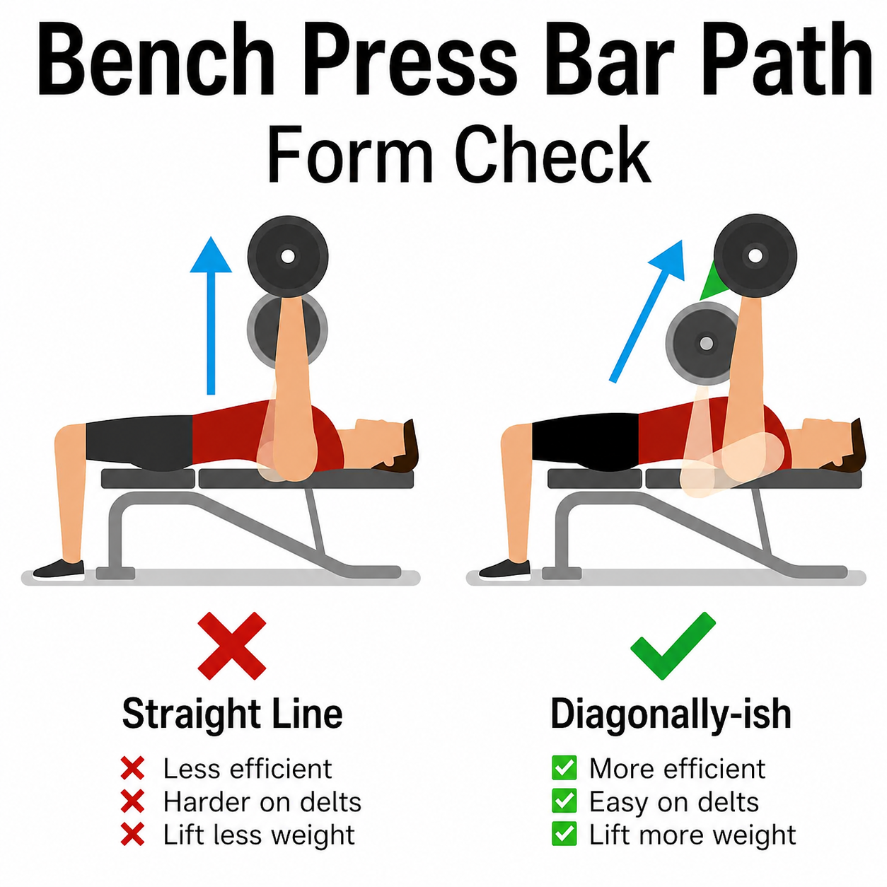 bench press bar path
