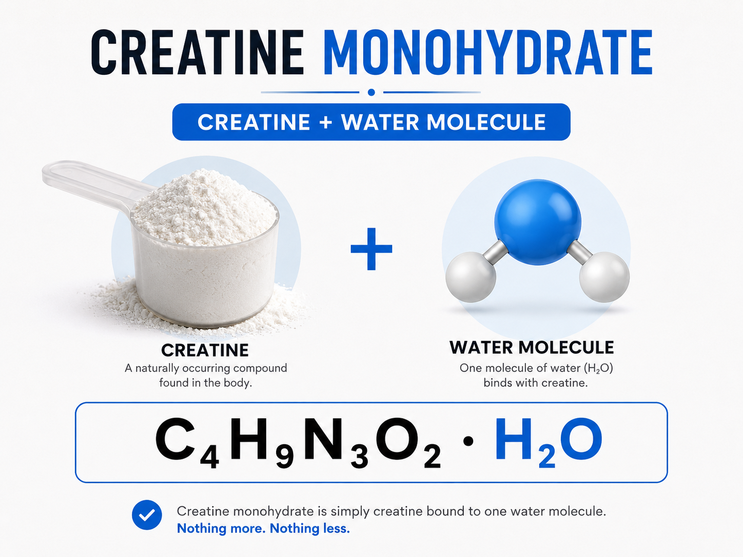 creatine molecular structure