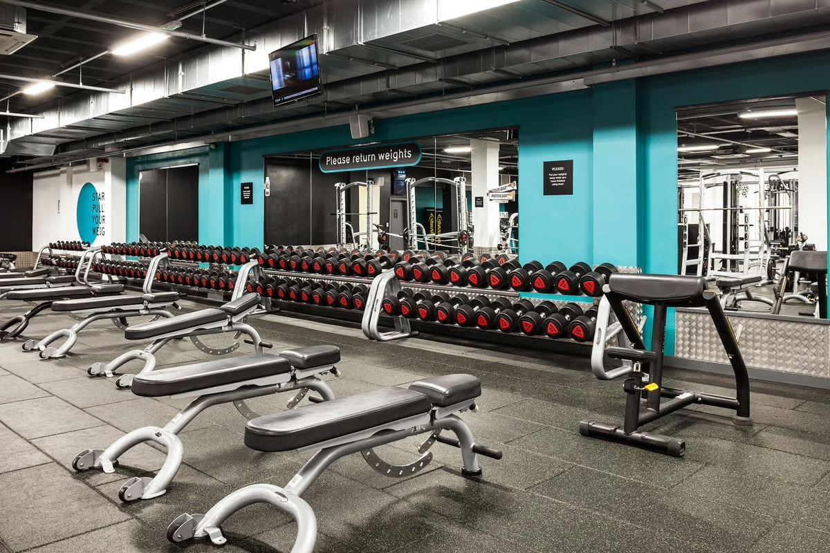 dumbbell section in puregym