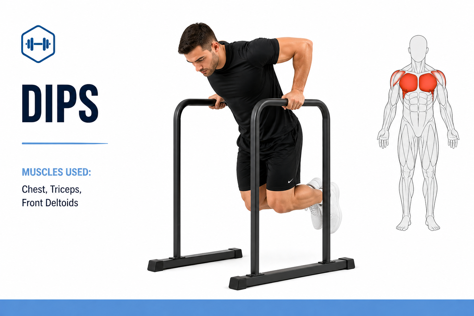 chest dips