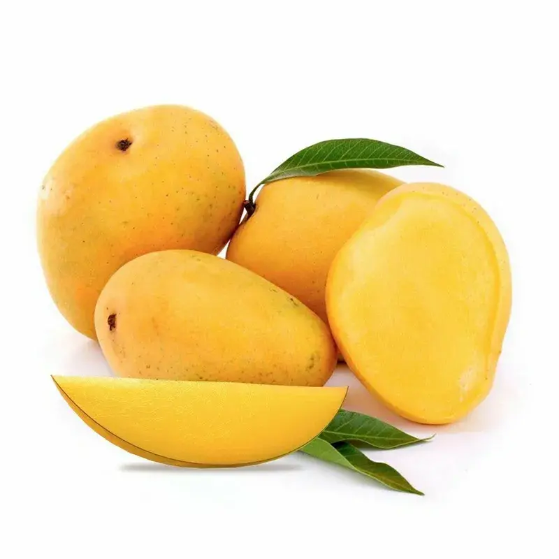 Banginapalli-Mango-1.png