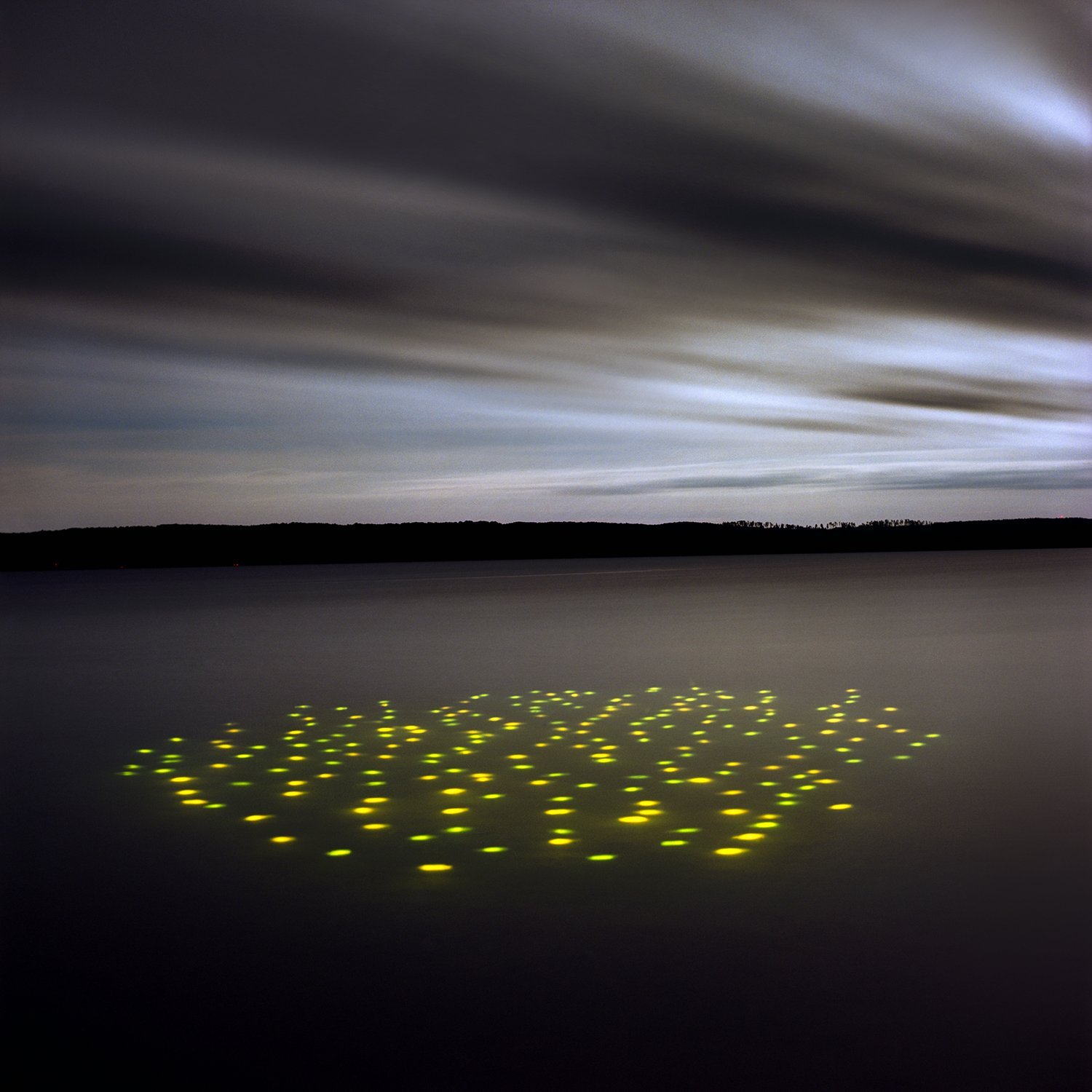 Fish I , 2001
36" x 36", Pigment Print, Edition of 5
