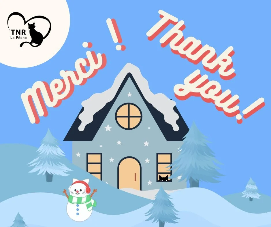 ✨🐾 November Donor Thank-You 🐾✨

We are sending a HUGE, heartfelt thank you to all of the incredible people who donated in November. 💛

Your generosity helps us trap, neuter, and return community cats, provide care for those in need, and work towar