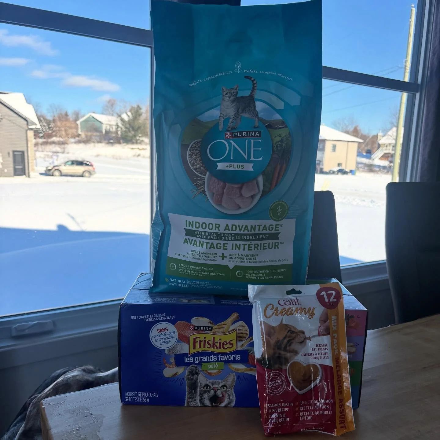 Thank you so much to Yann Lafreniere and Florentina Vasile for your generous donation through our Amazon wishlist ❤️ Your support helps us care for vulnerable cats in our community and gives them a chance at a better life 🐾

Every item makes a real 