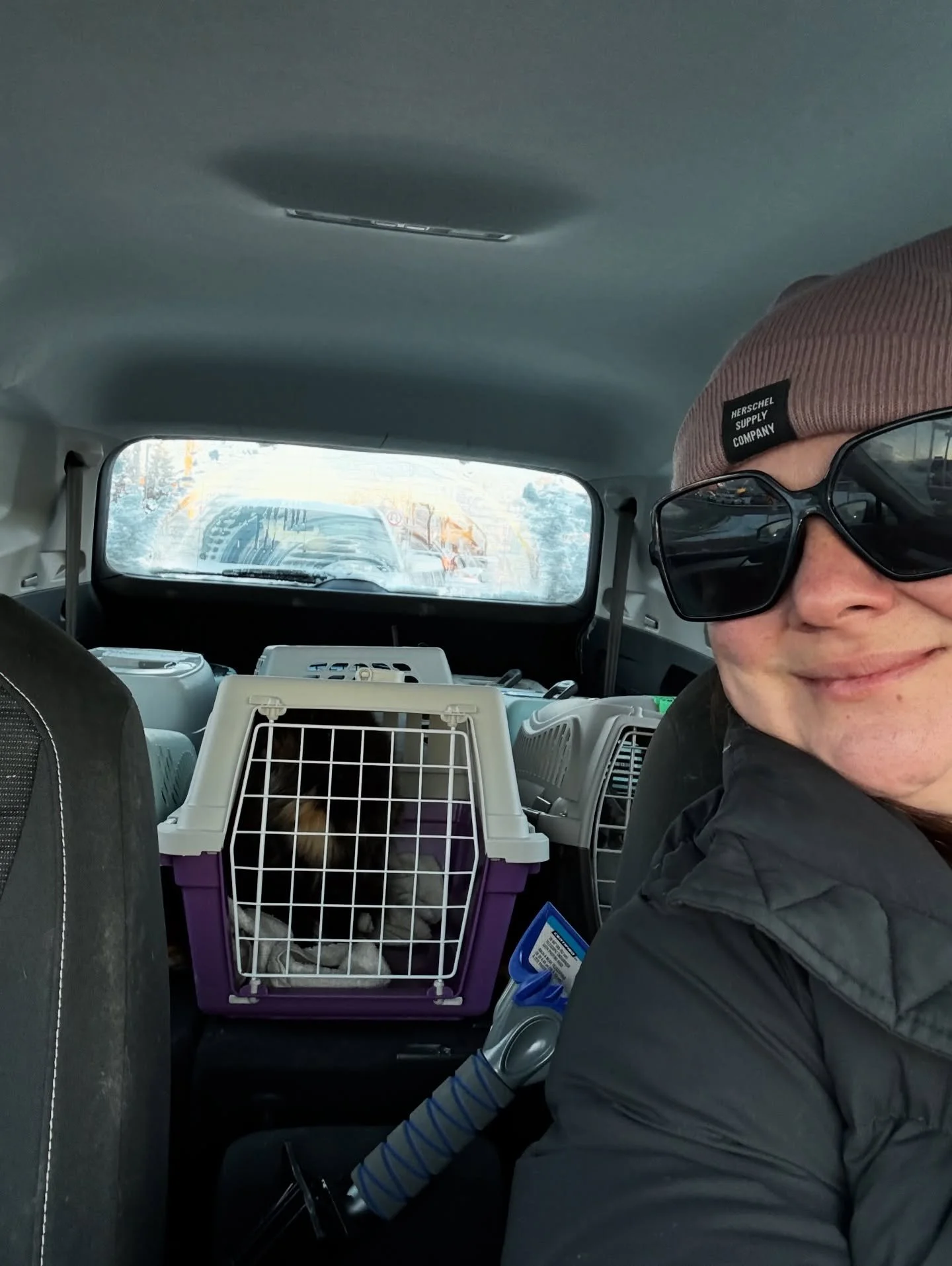 Another 14 cats sterilized today! 🙌🐱✂️

Huge thank you to our amazing new volunteer driver Katie O&rsquo;Brien for getting all of these cats safely to and from our vet in Brockville. 🚗💛

And although we didn&rsquo;t get a photo last week, our inc