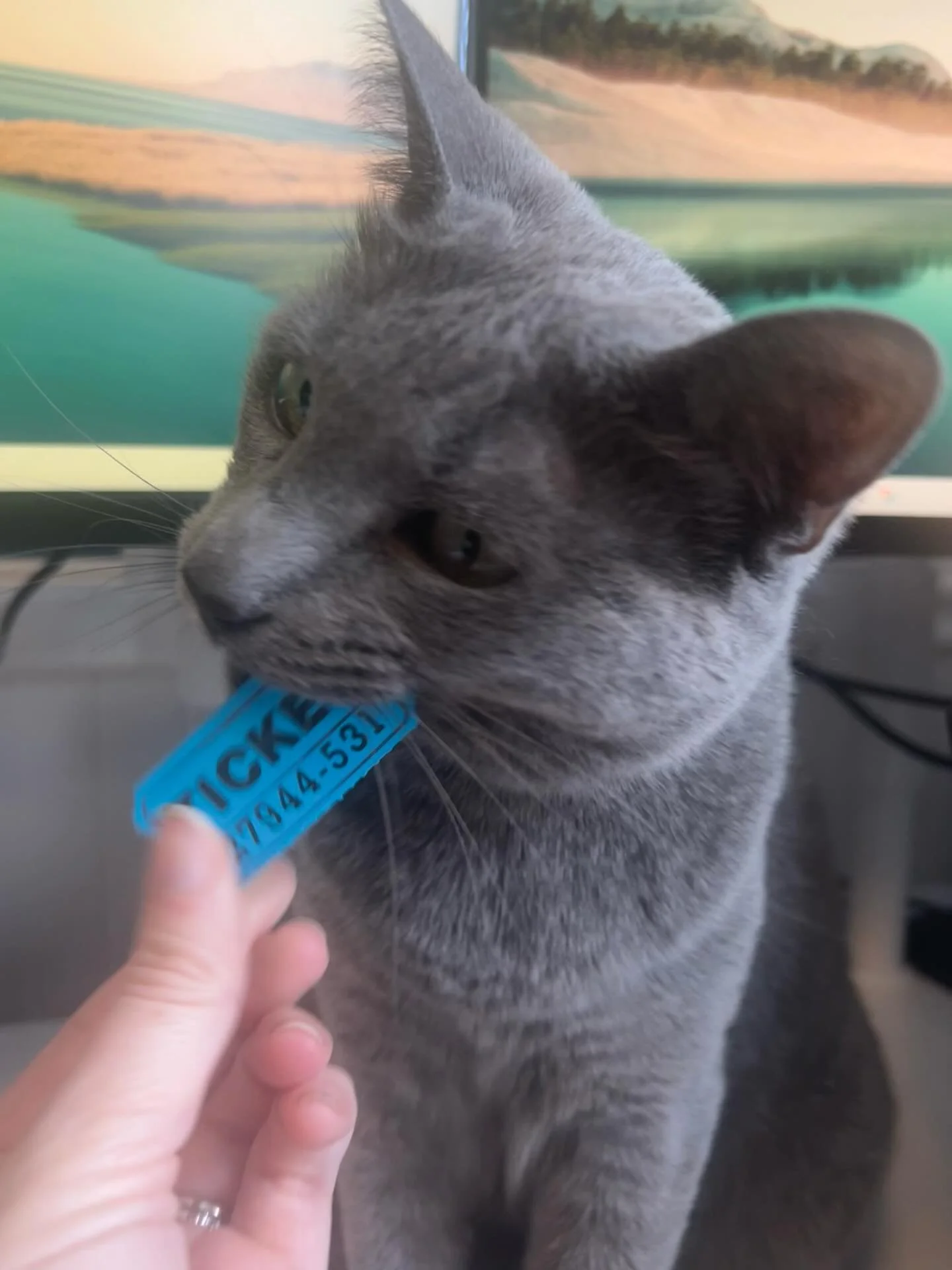 Kipper, an honourary member of the TNR La P&ecirc;che Board, is proud to announce the winner of the beautiful painting from our Wakefield Christmas Market booth 🤶

🎉Congratulations, Nathalie from Gatineau! 

And thank you to Jadwiga 🎨 again for do