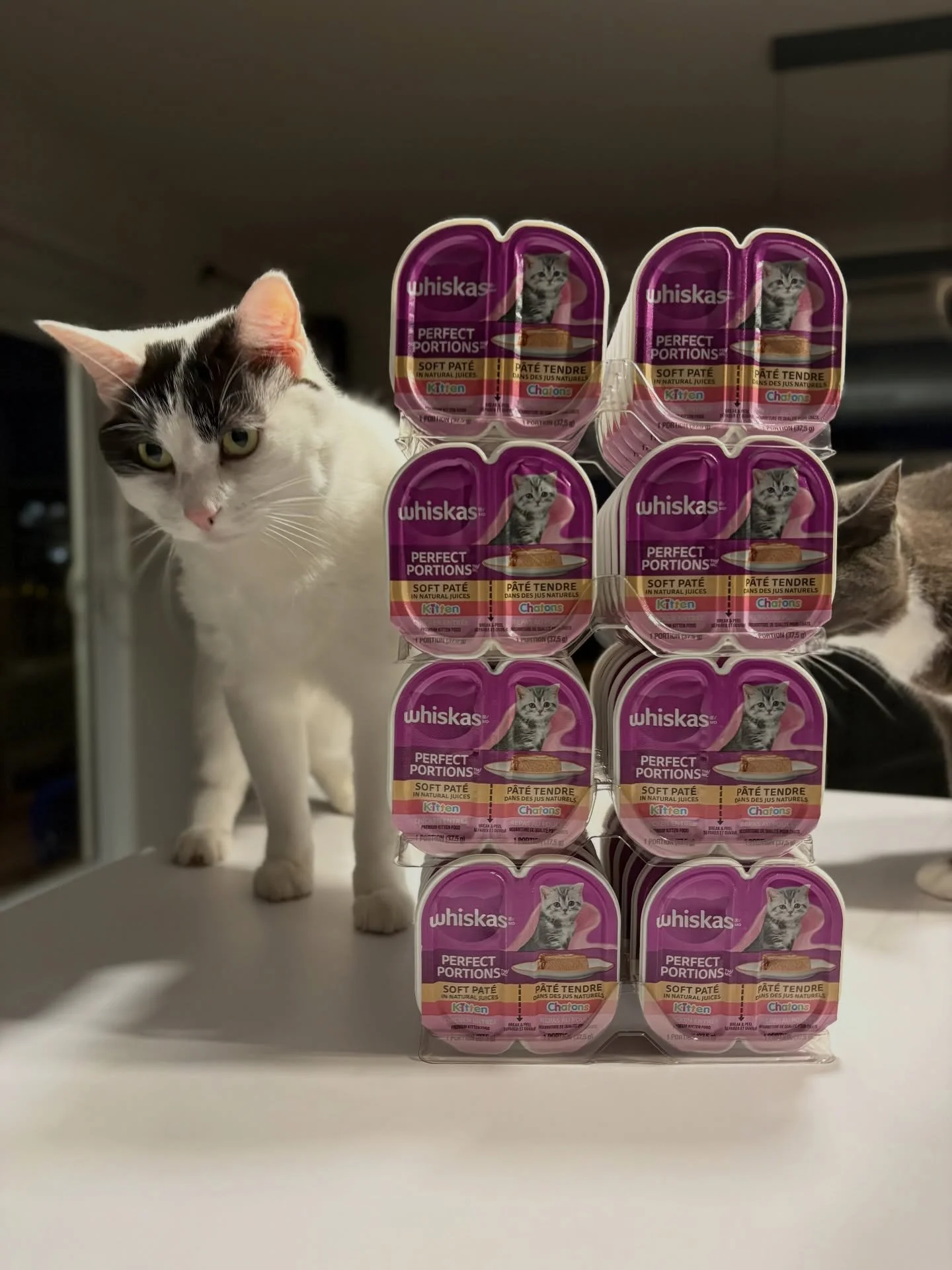 A huge thank you to Sharon Hodgson for this incredibly generous donation of kitten p&acirc;t&eacute; &mdash; it&rsquo;s so needed right now with all the kittens in our care! 🤗❤️

If you&rsquo;d like to help, we are always in need of kitten formula, 