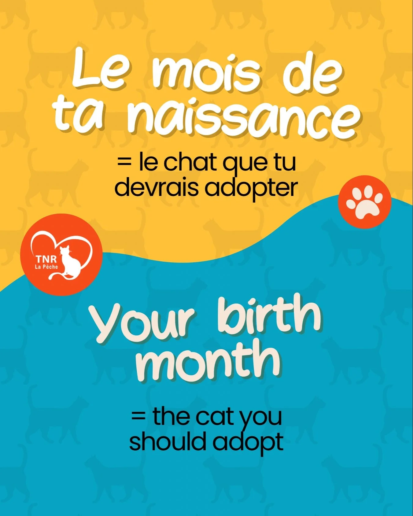 All of these cats are waiting for their forever homes! Swipe to find the cat linked to your birth month.

Then head to our PetFinder profile (link in bio) to learn more about your match and see all the details.

So&hellip; who did you get? 

Tous ces