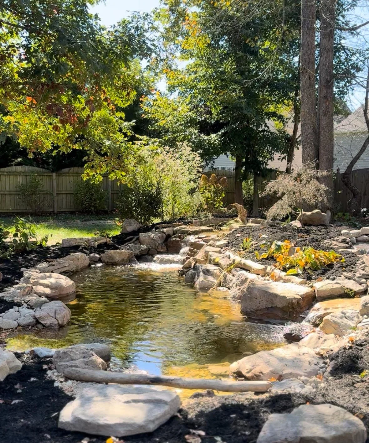 A backyard with a small rocky pond surrounded by trees and shrubs, a wooden fence in the background, and sunlight filtering through the leaves.