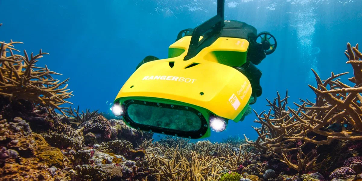 Coral SOS | Protect Reefs Now - Join the Fight