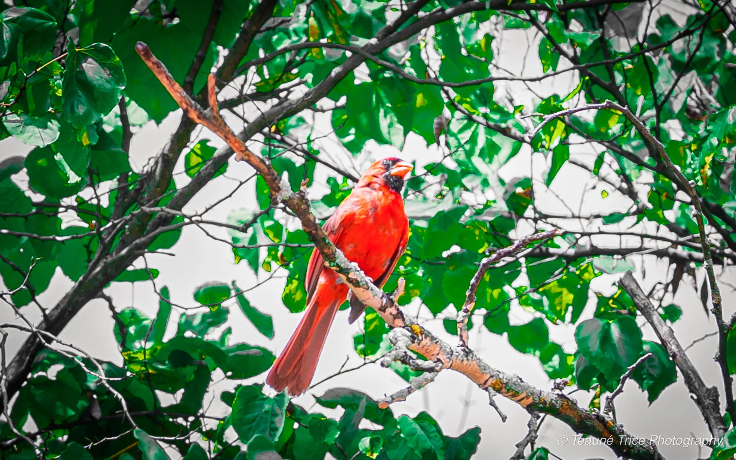 Ethan & Megan (Elopement)-115.jpg