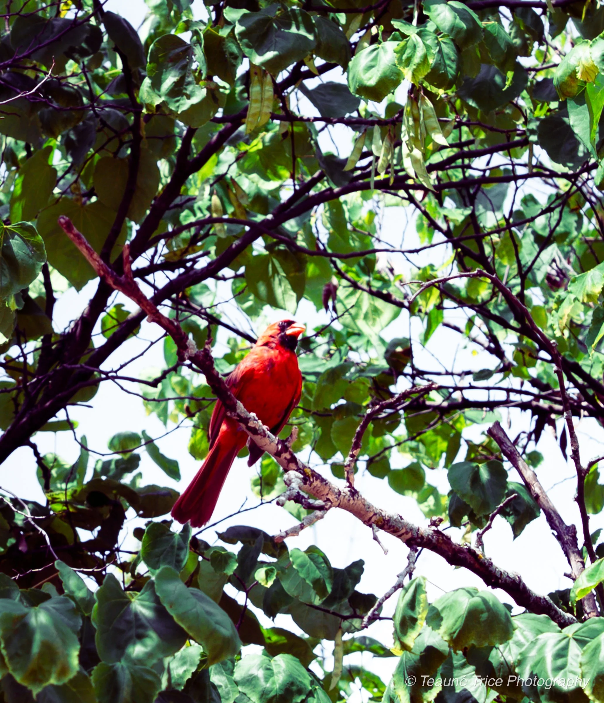 Ethan & Megan (Elopement)-114.jpg