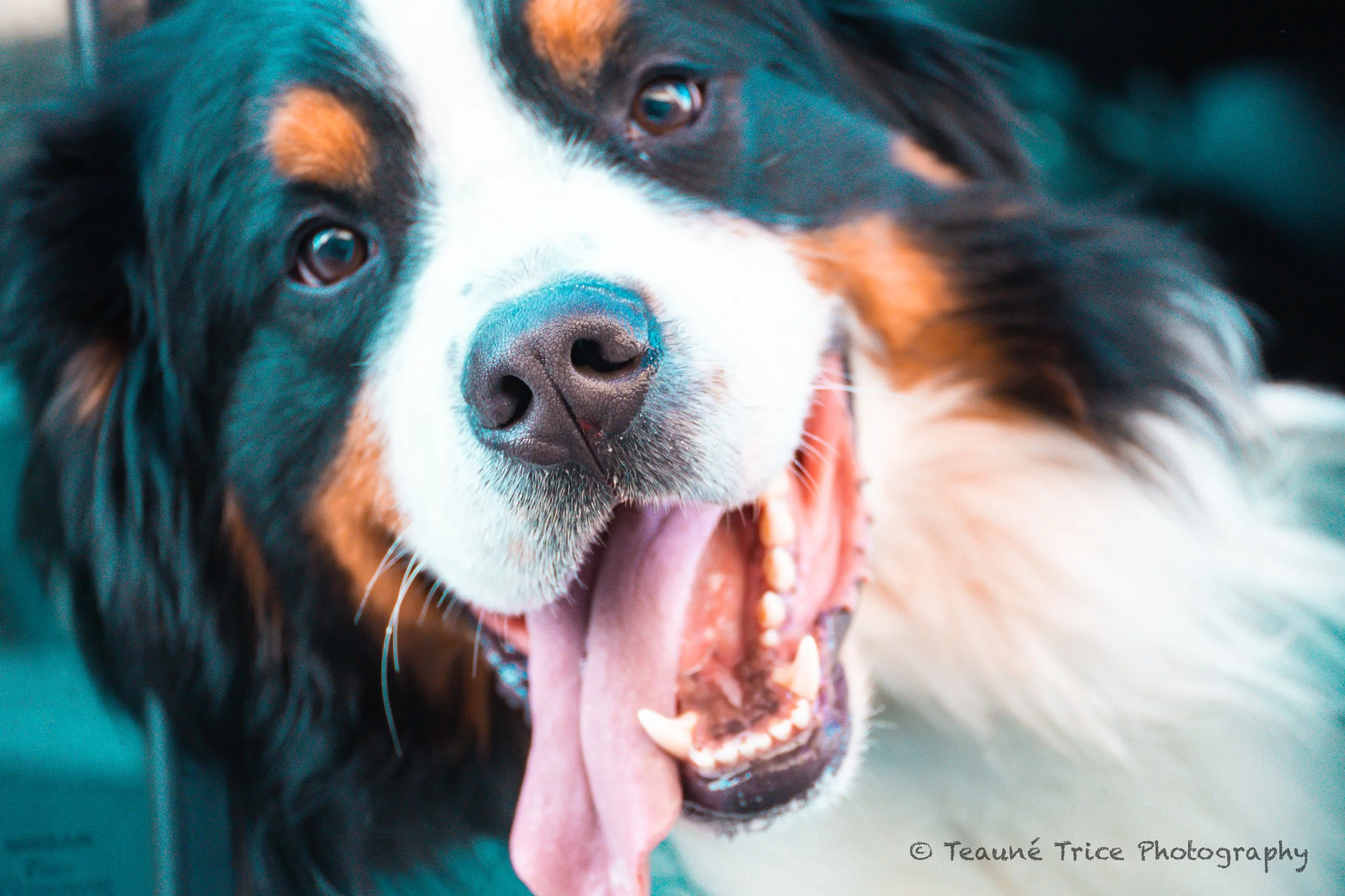 Safe Streets Indy-58.jpg