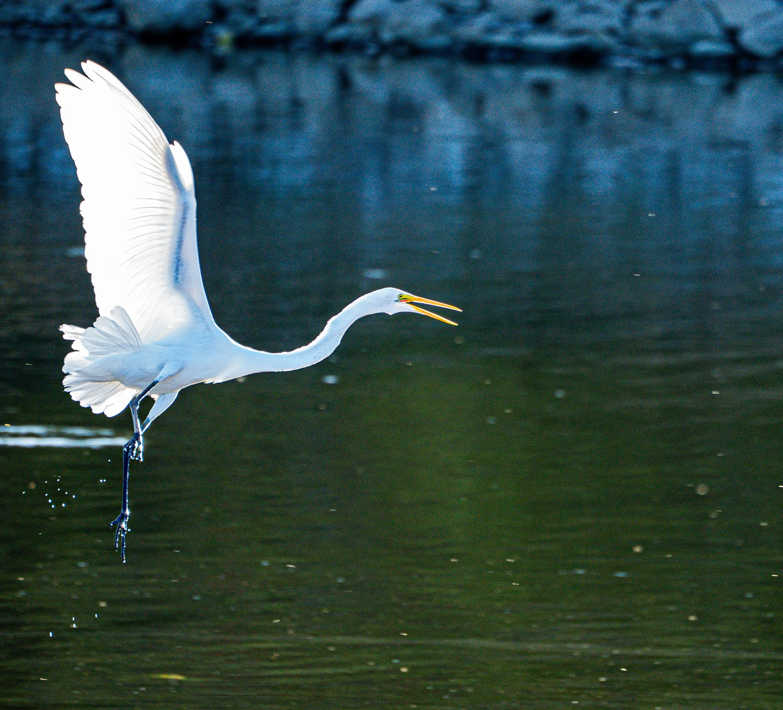 Where Balance Still Exists.jpg