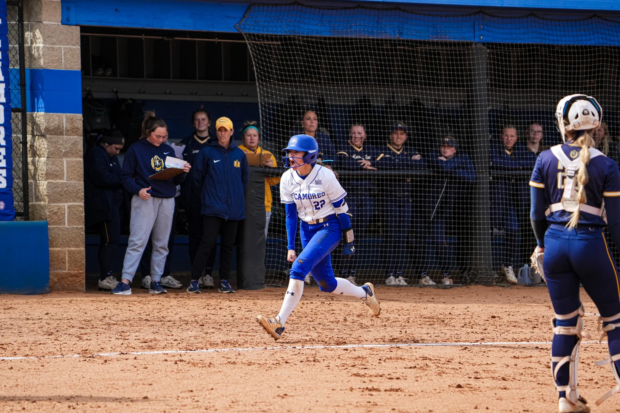 Sycamores 1-2932.jpg