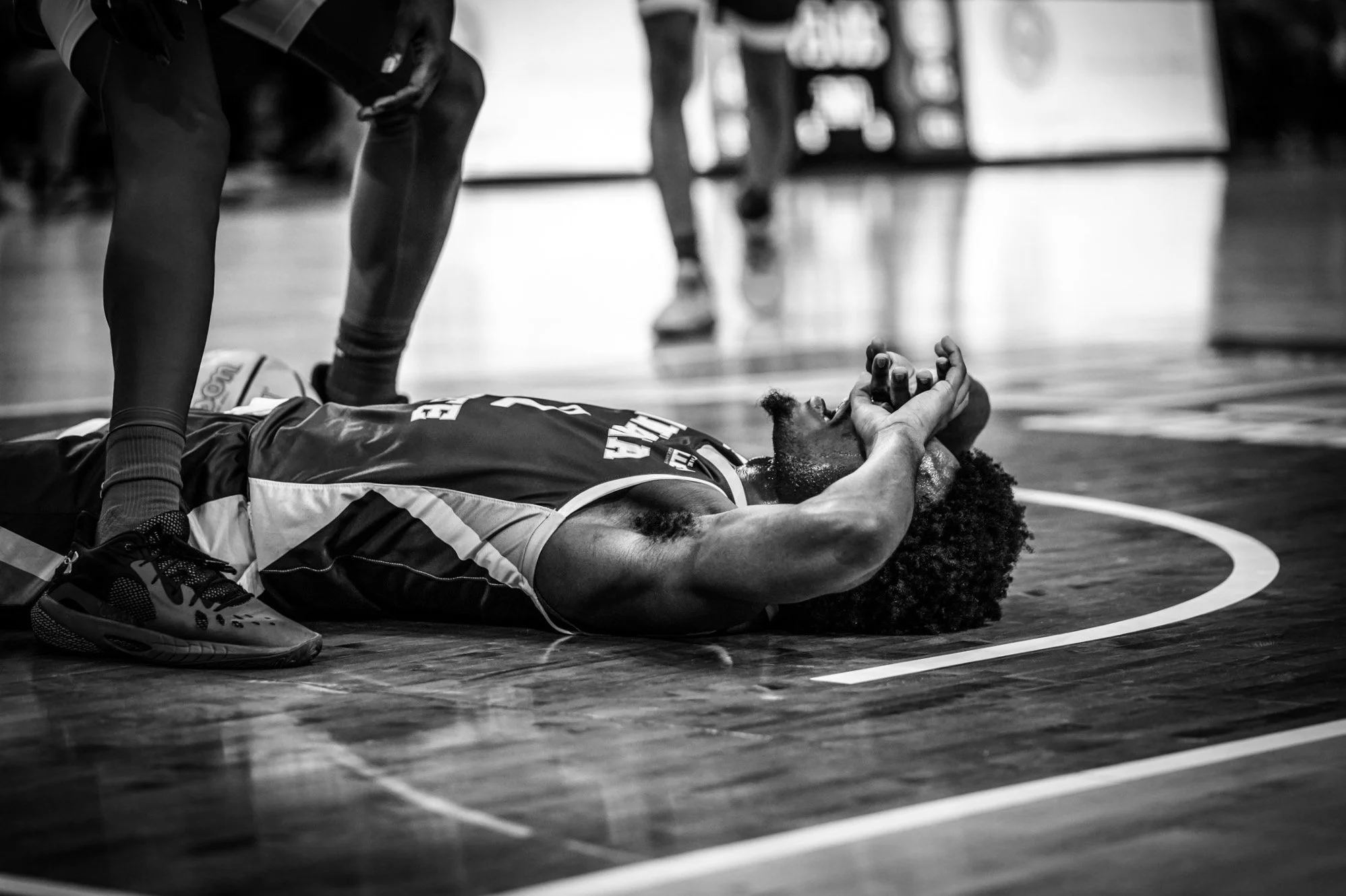 Sycamores+1-1109.jpg