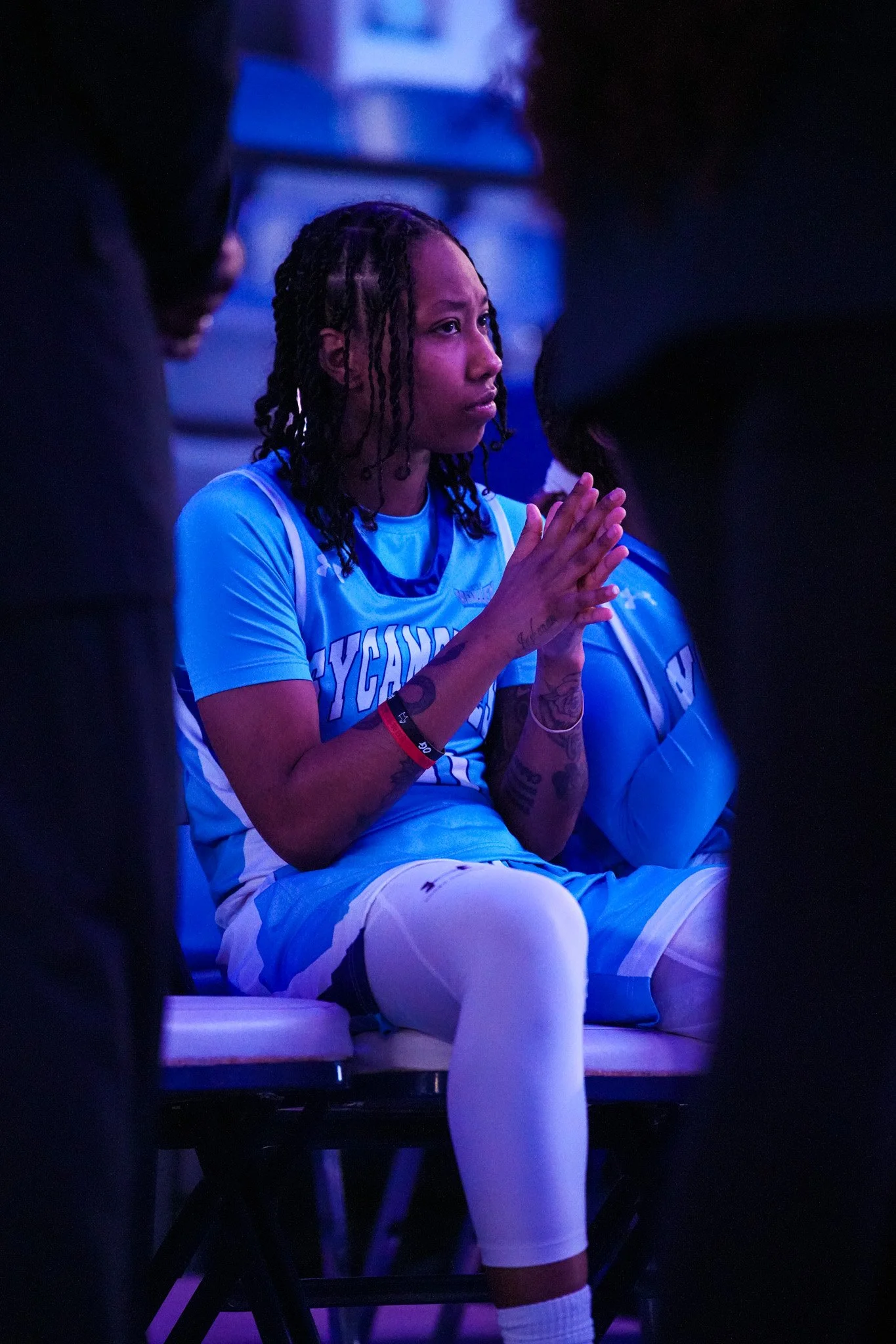 Sycamores 1-2767.jpg