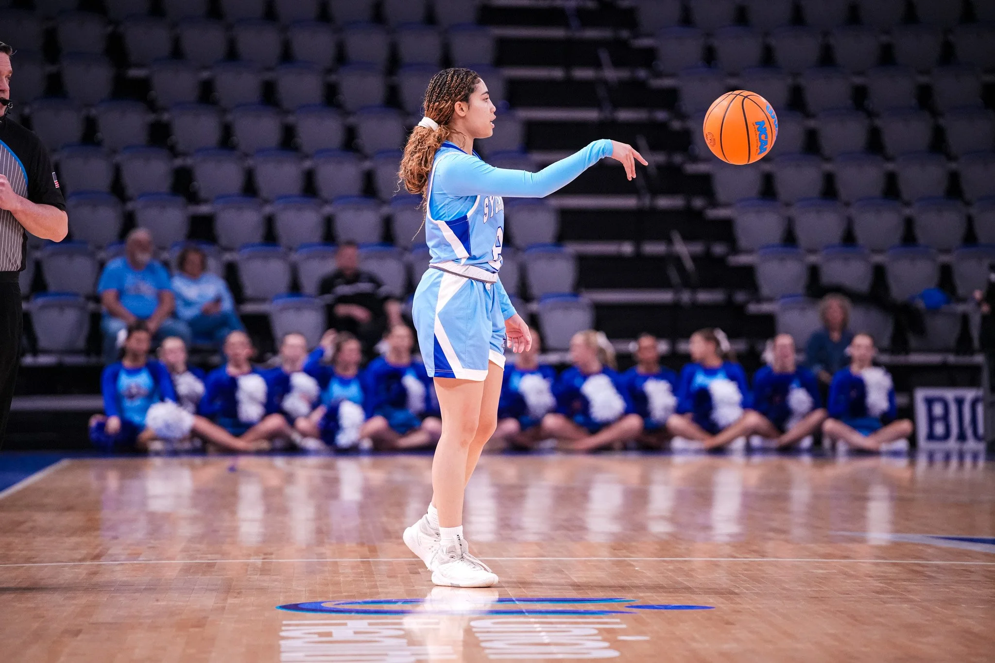 Sycamores 1-2591.jpg
