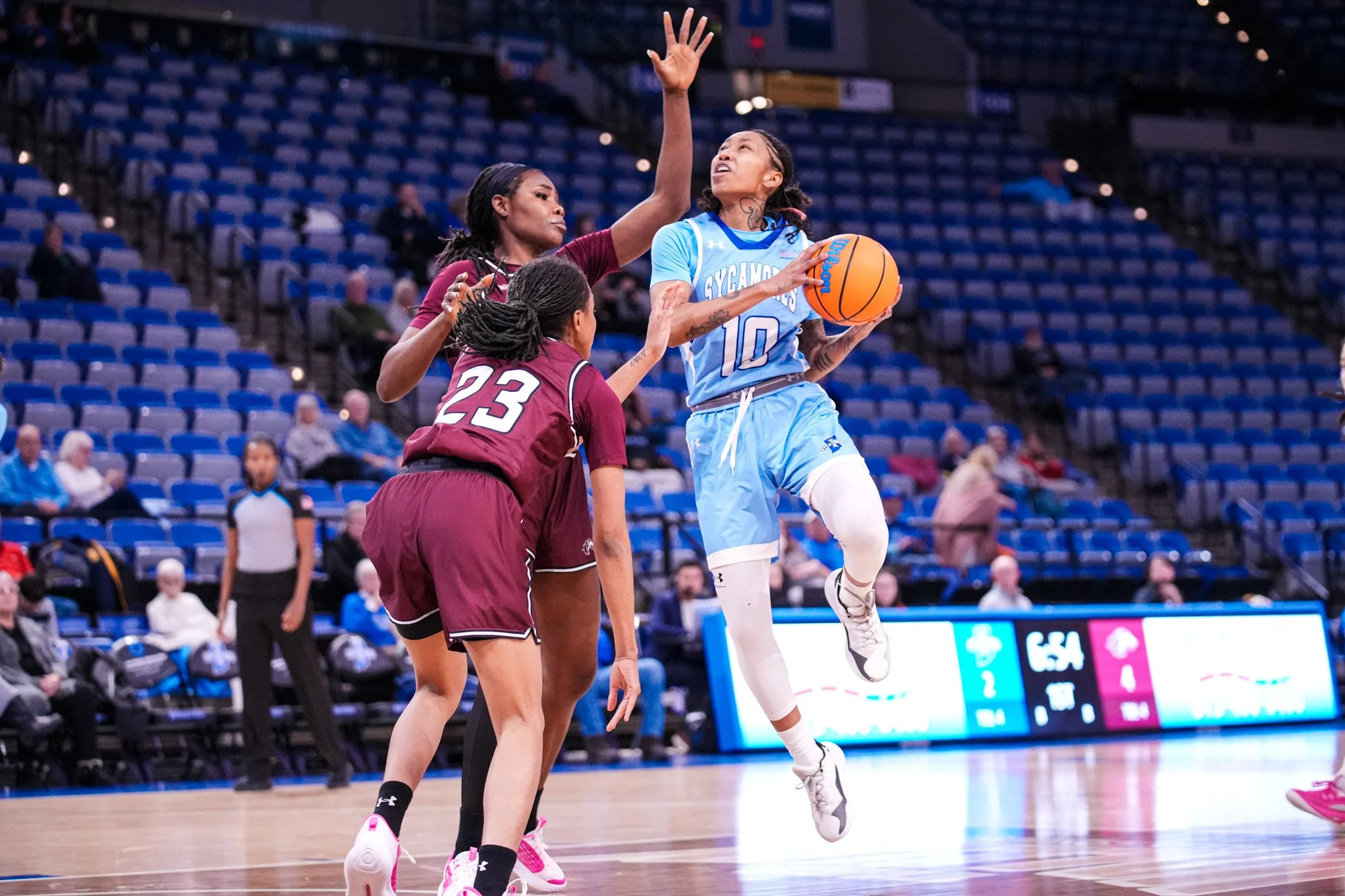Sycamores 1-1611.jpg