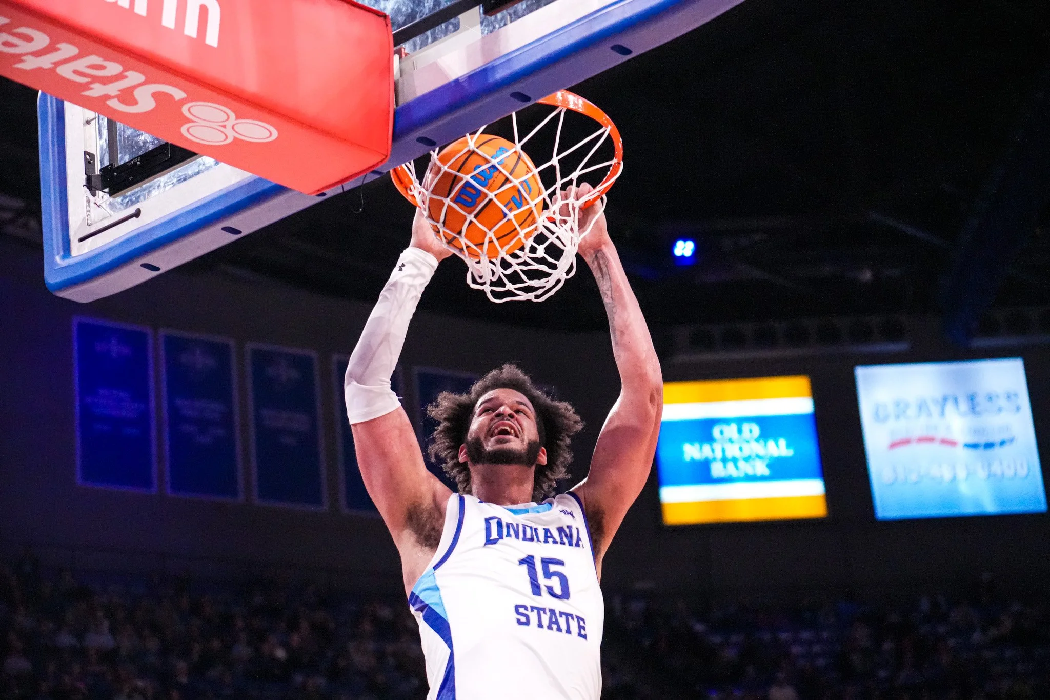 Sycamores 1-536.jpg