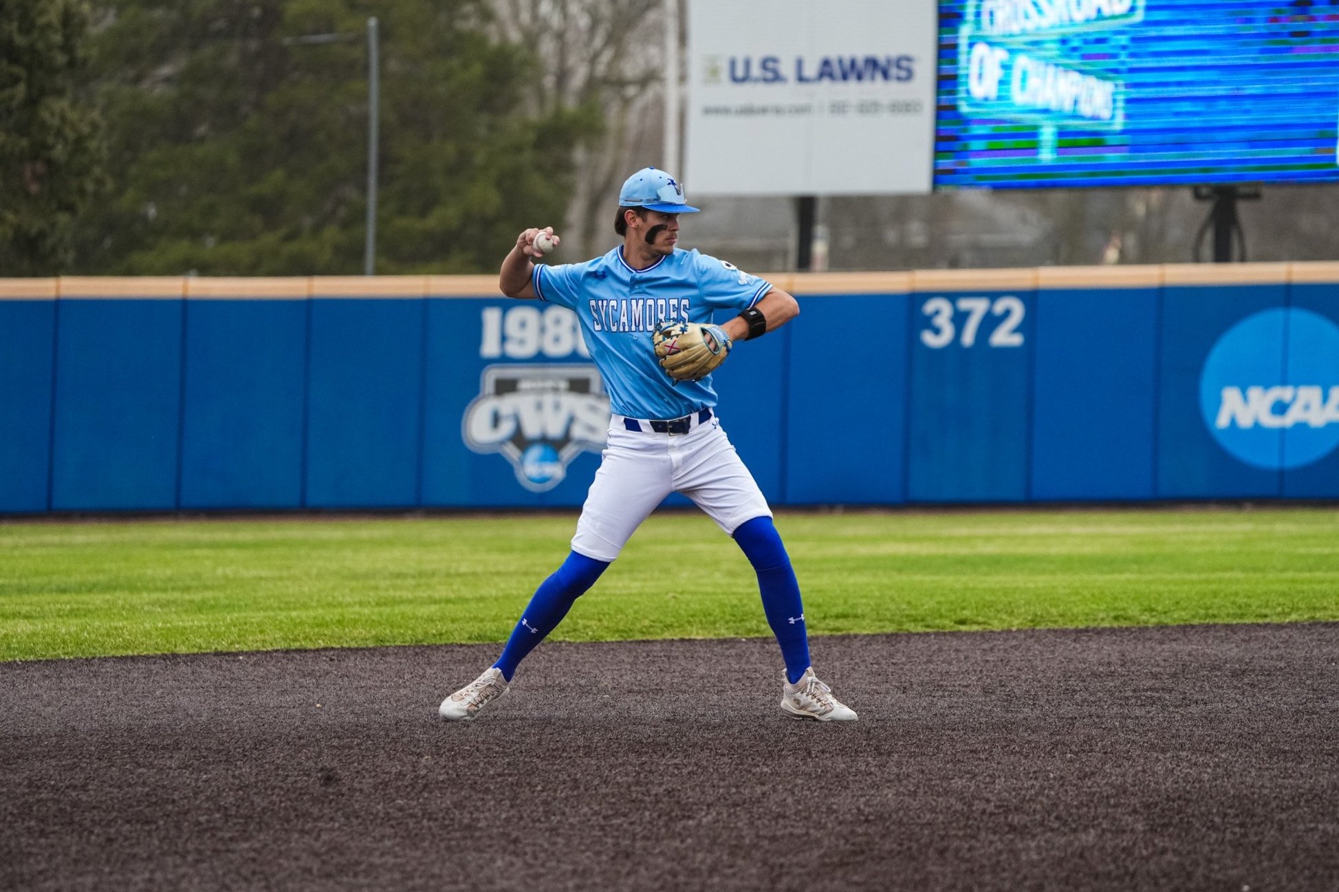 Sycamores+1-2847.jpg